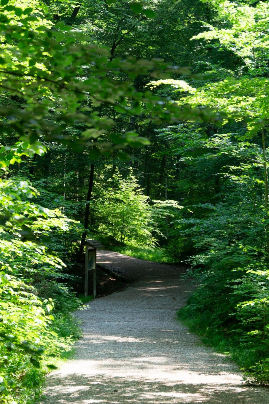 Rückzugsort mitten im Paradies