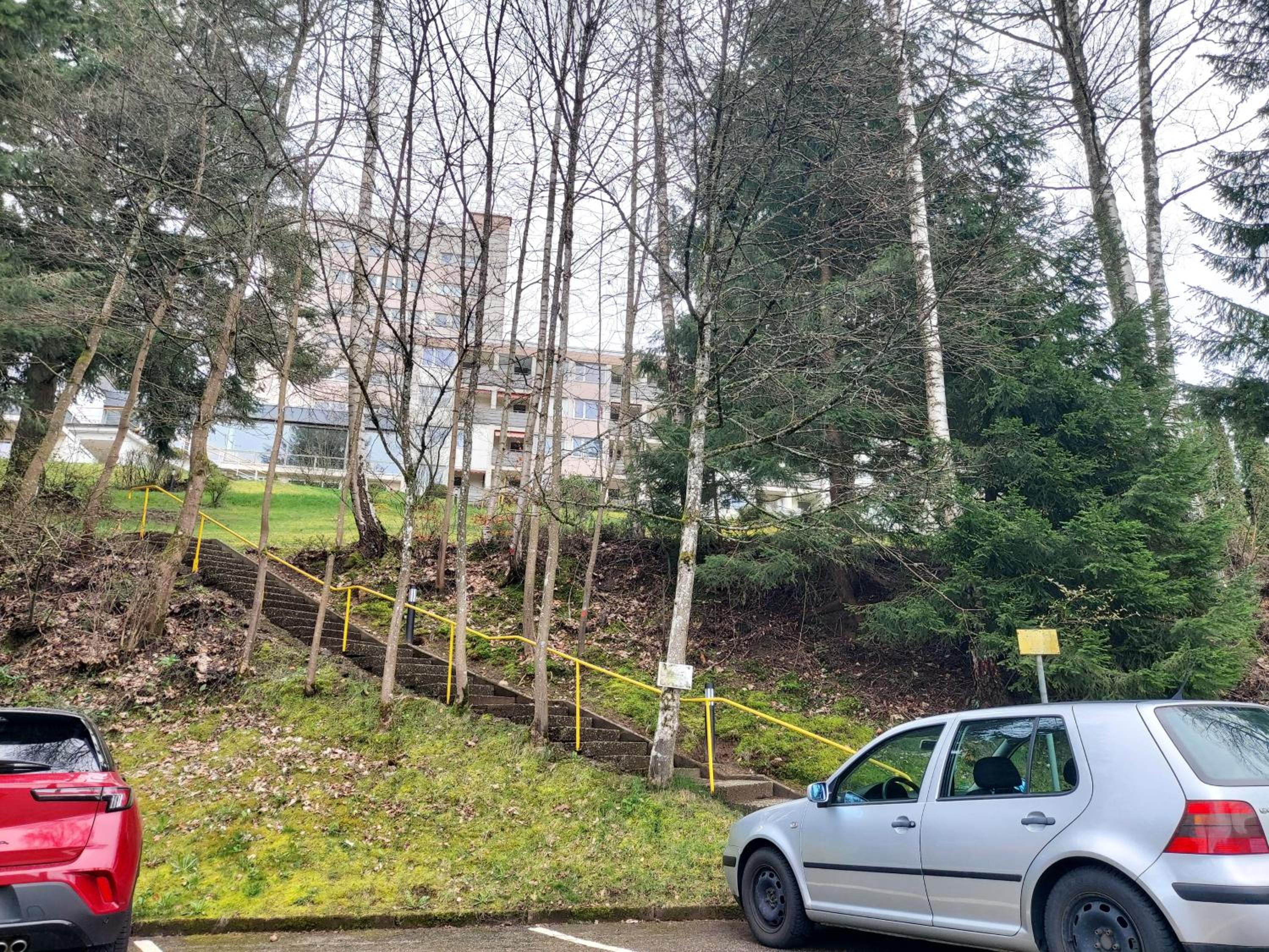 FeWo mit Pool in Baiersbronn