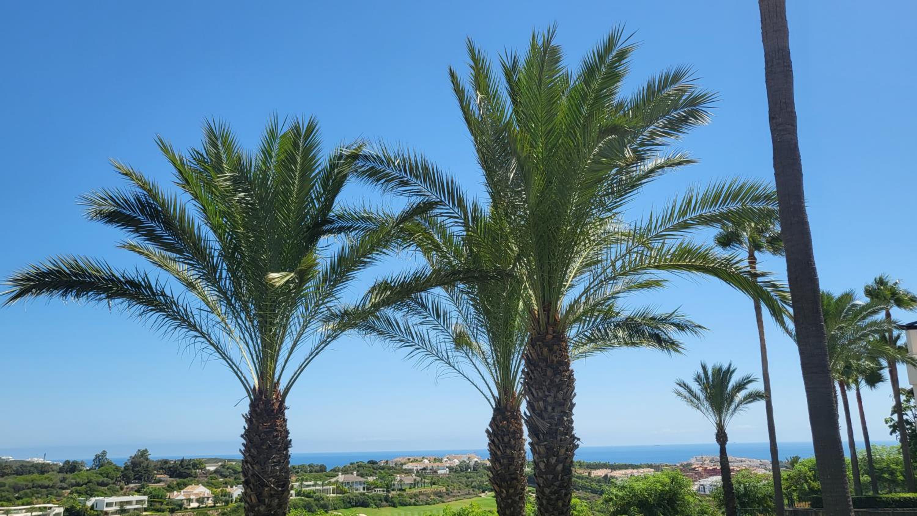 Apartament Golf Finca de Cortesin