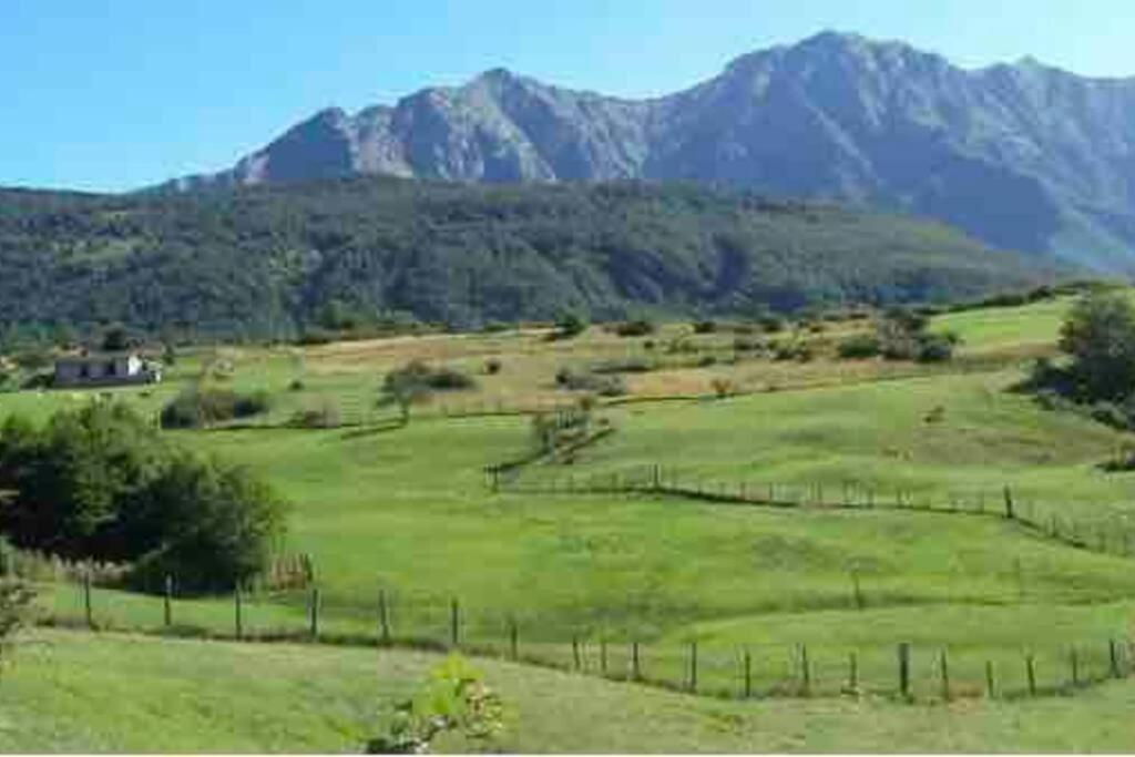 Photo 35