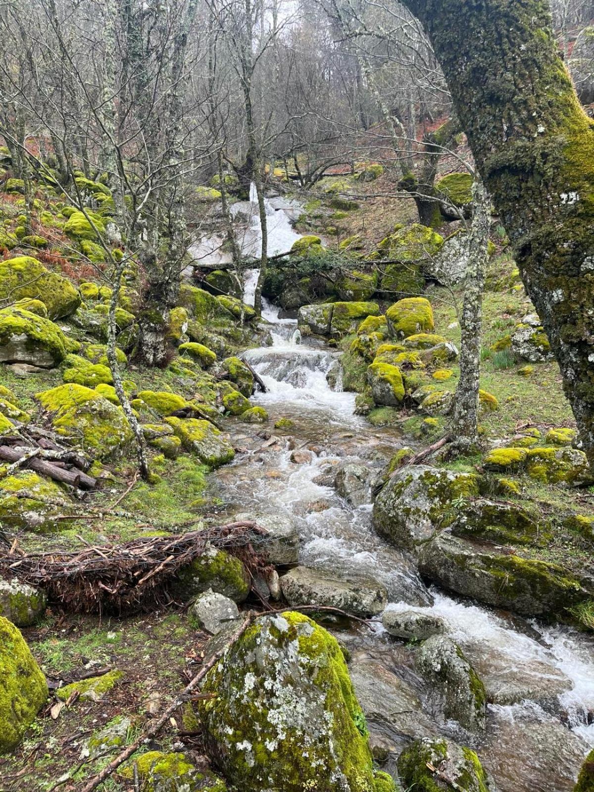 El Secreto del Arroyo
