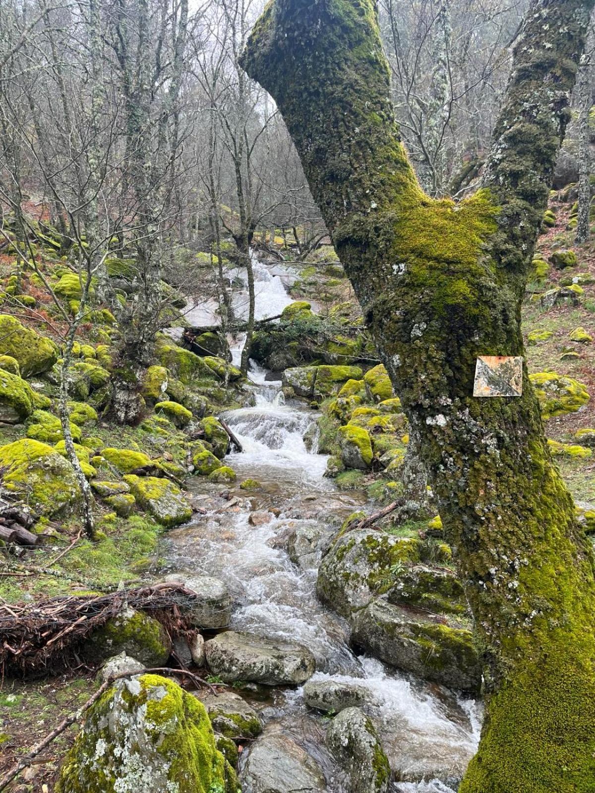 El Secreto del Arroyo