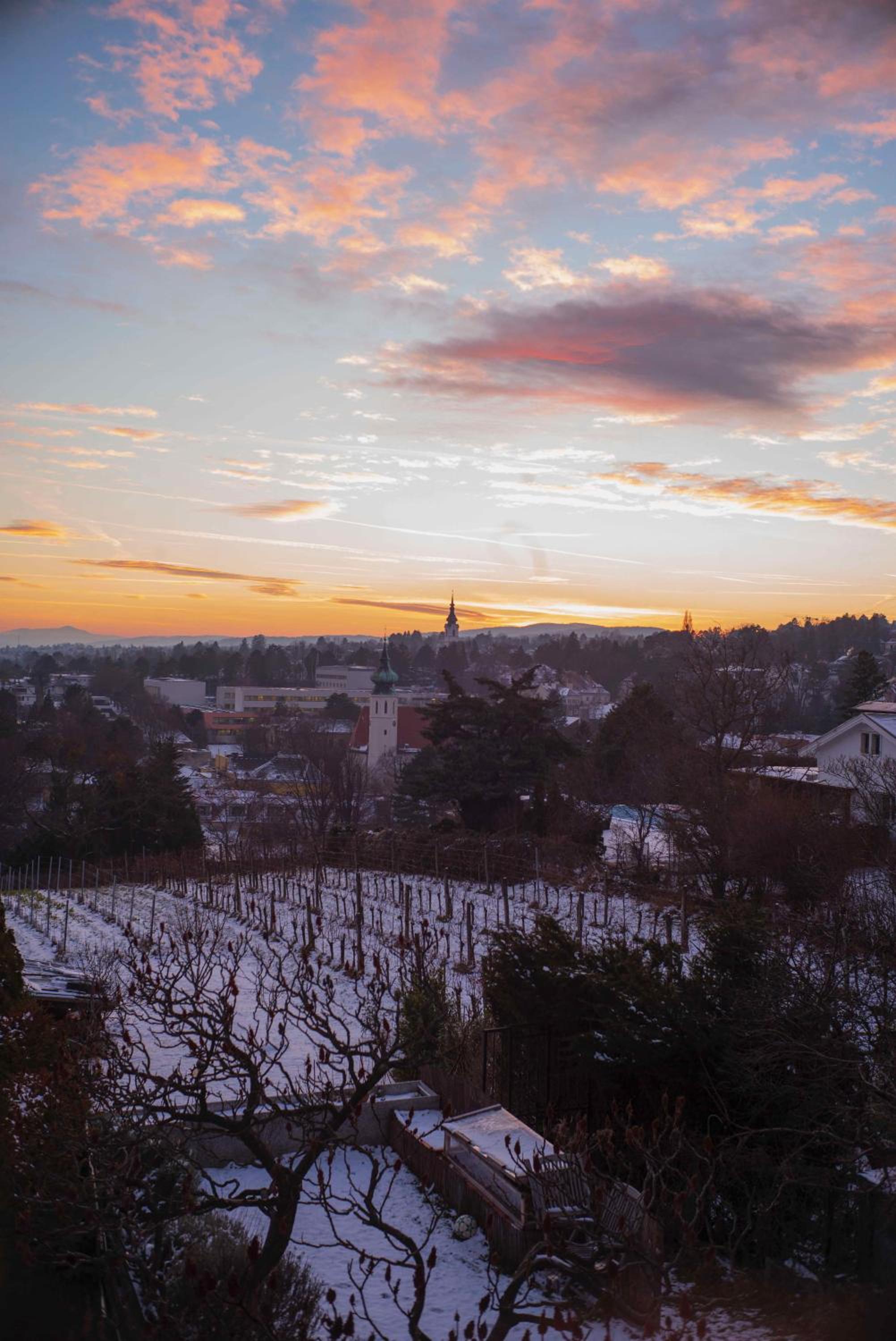 Herrlicher Ausblick über Wien