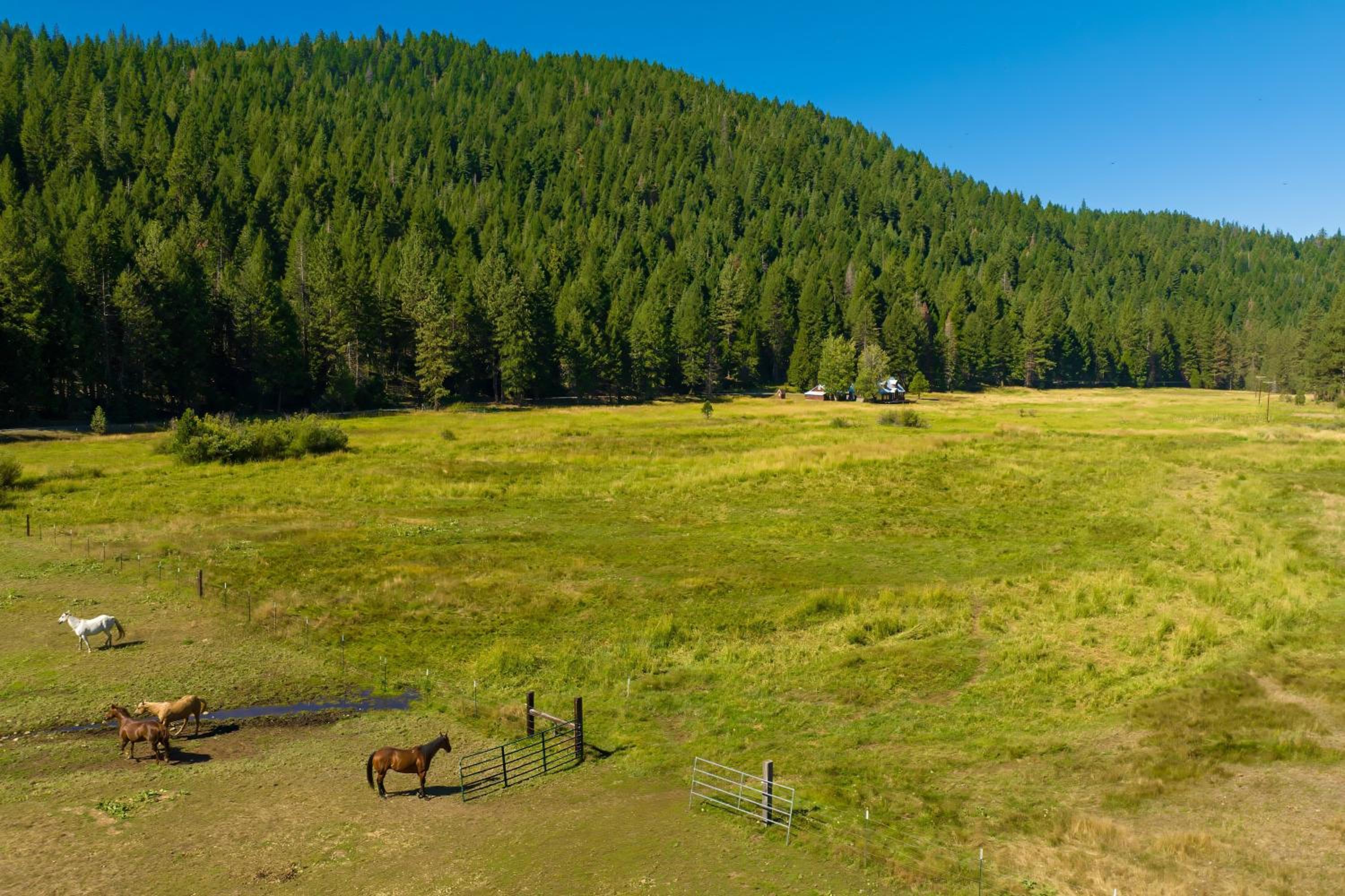 200 Acres, River Access Feather House in NorCal