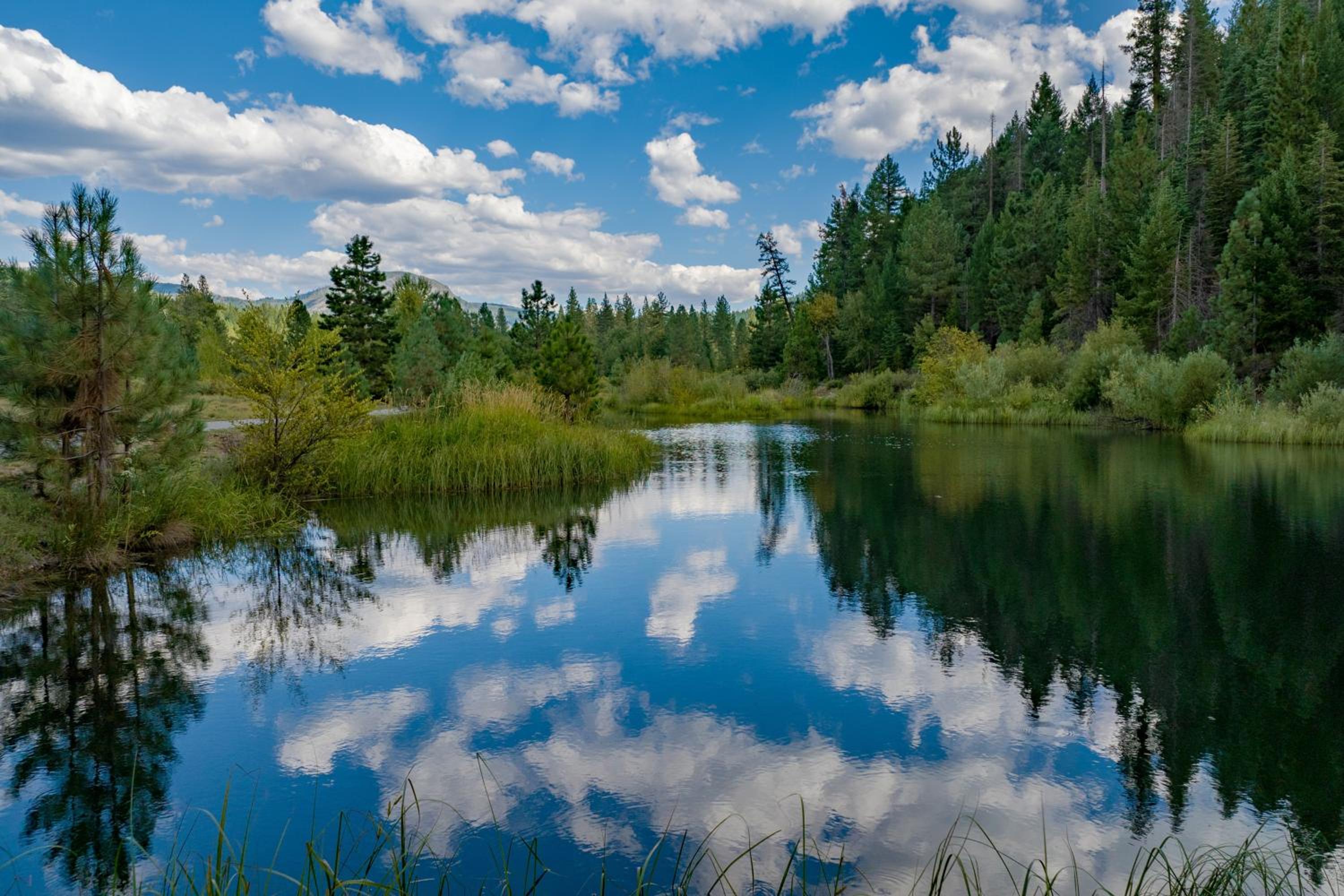 200 Acres, River Access Feather House in NorCal