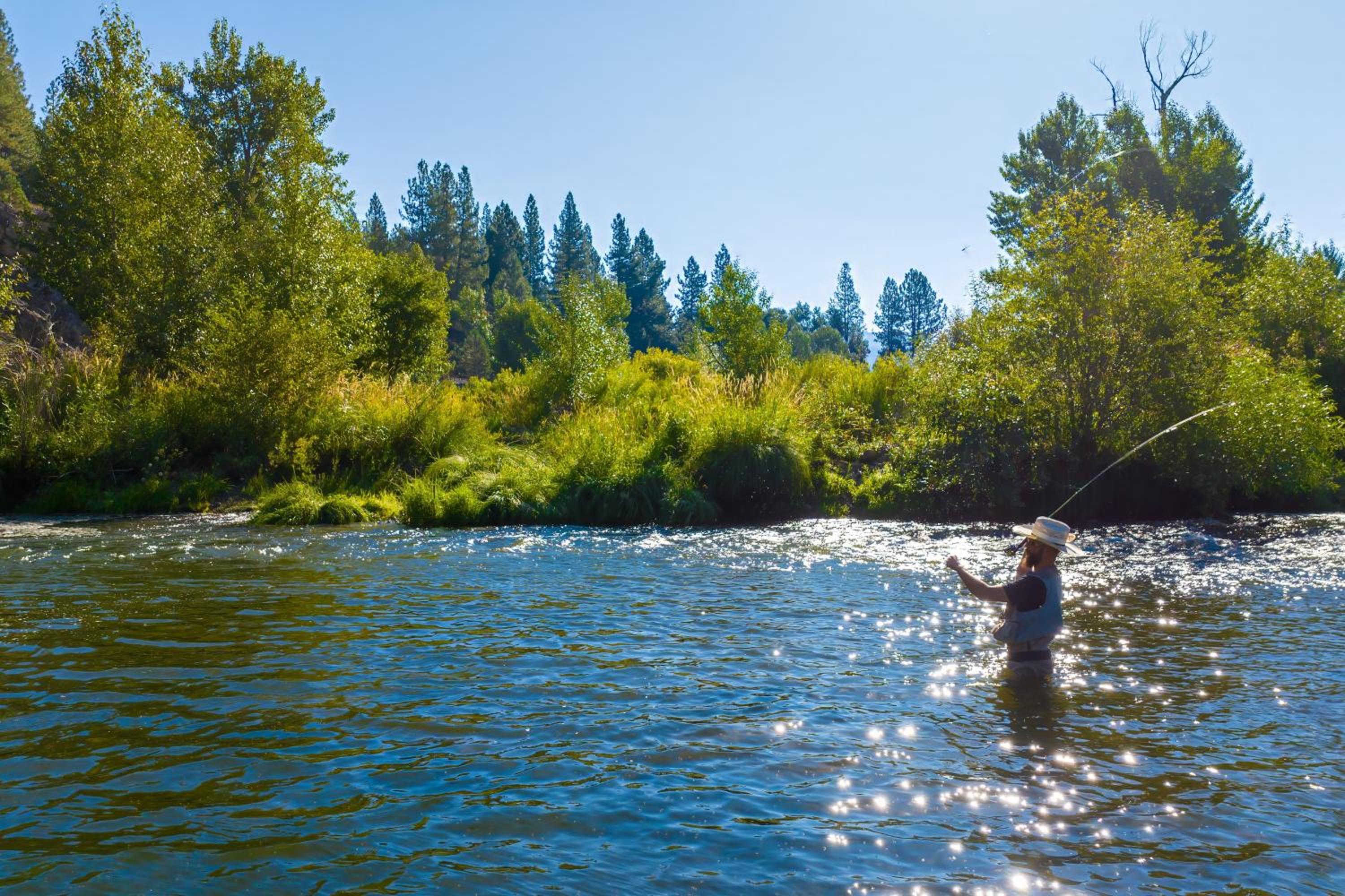 200 Acres, River Access Feather House in NorCal