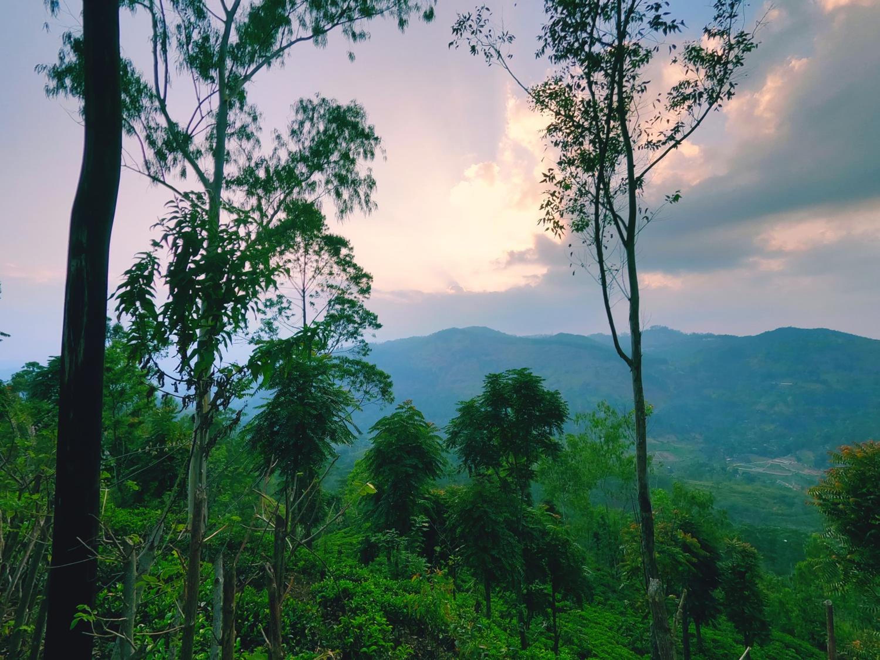 Ella Glamping view 4