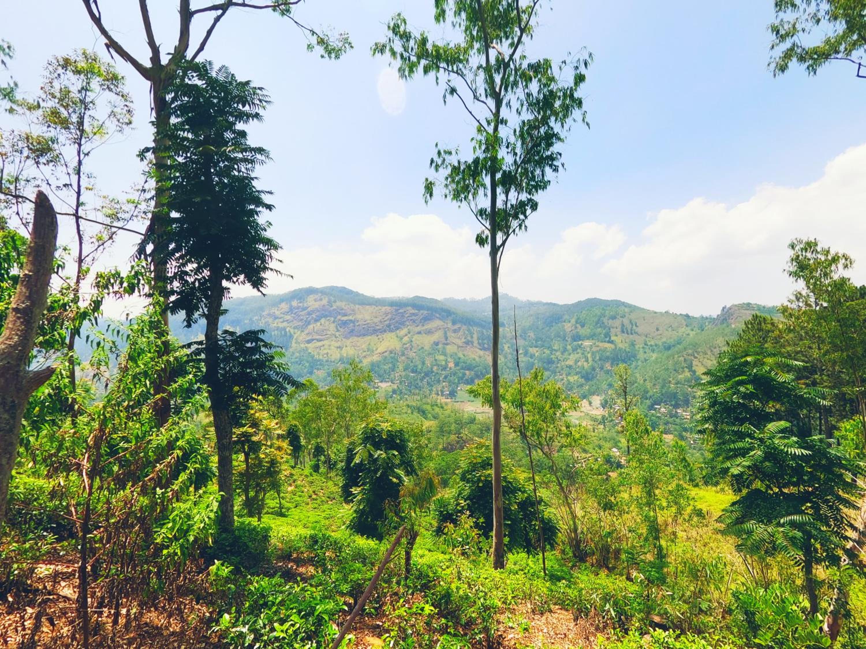 Ella Glamping view 3