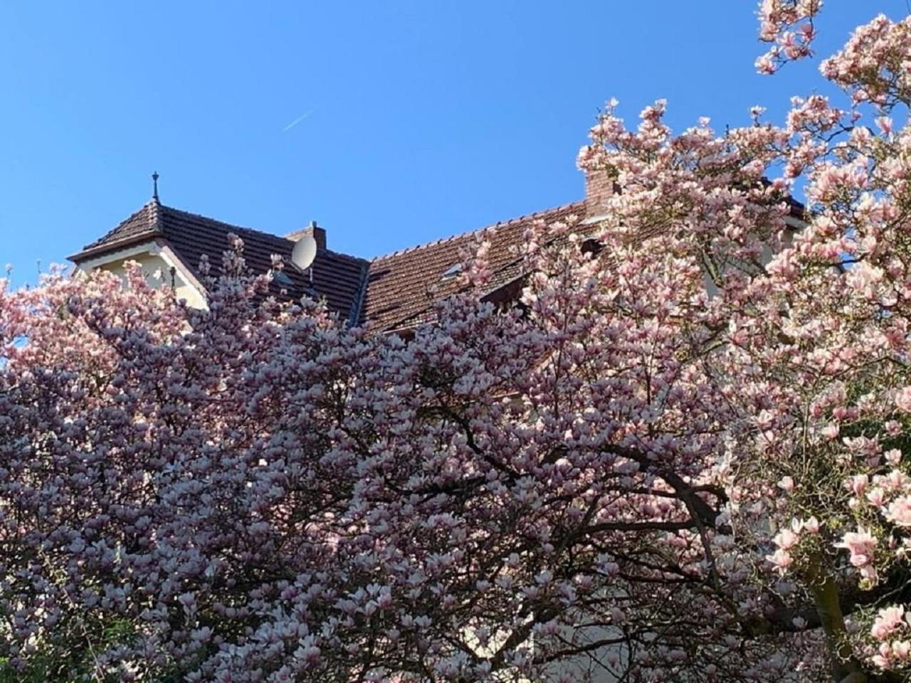 Gästehaus Magnolia