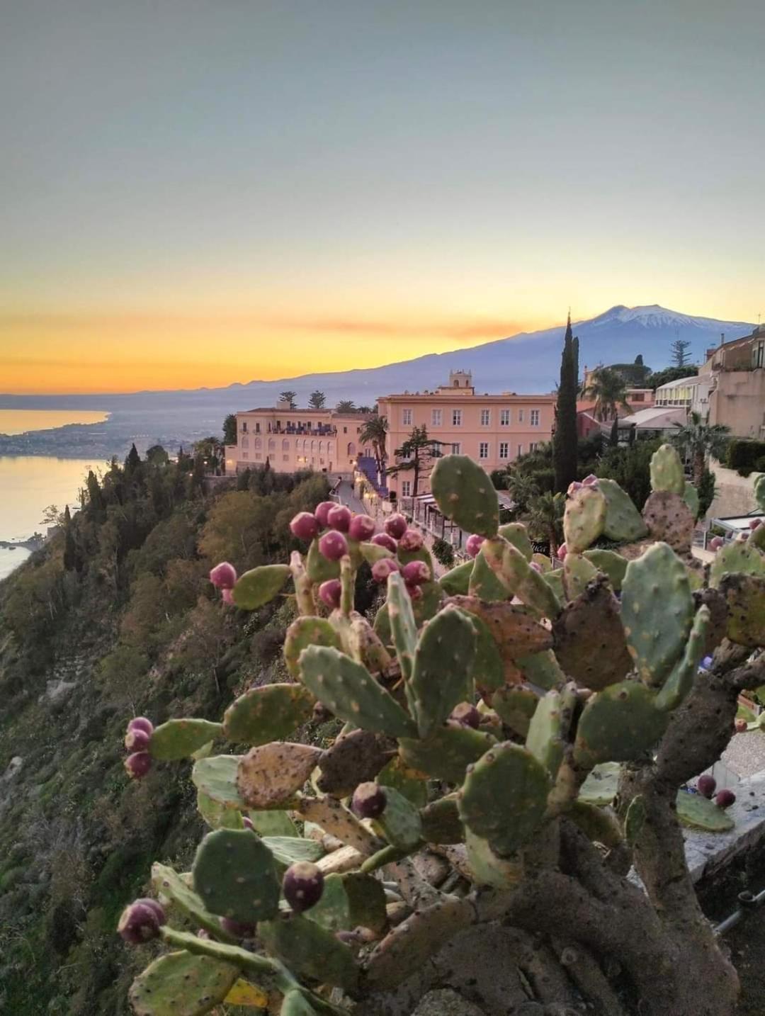Casa Basilico' Taormina view 4