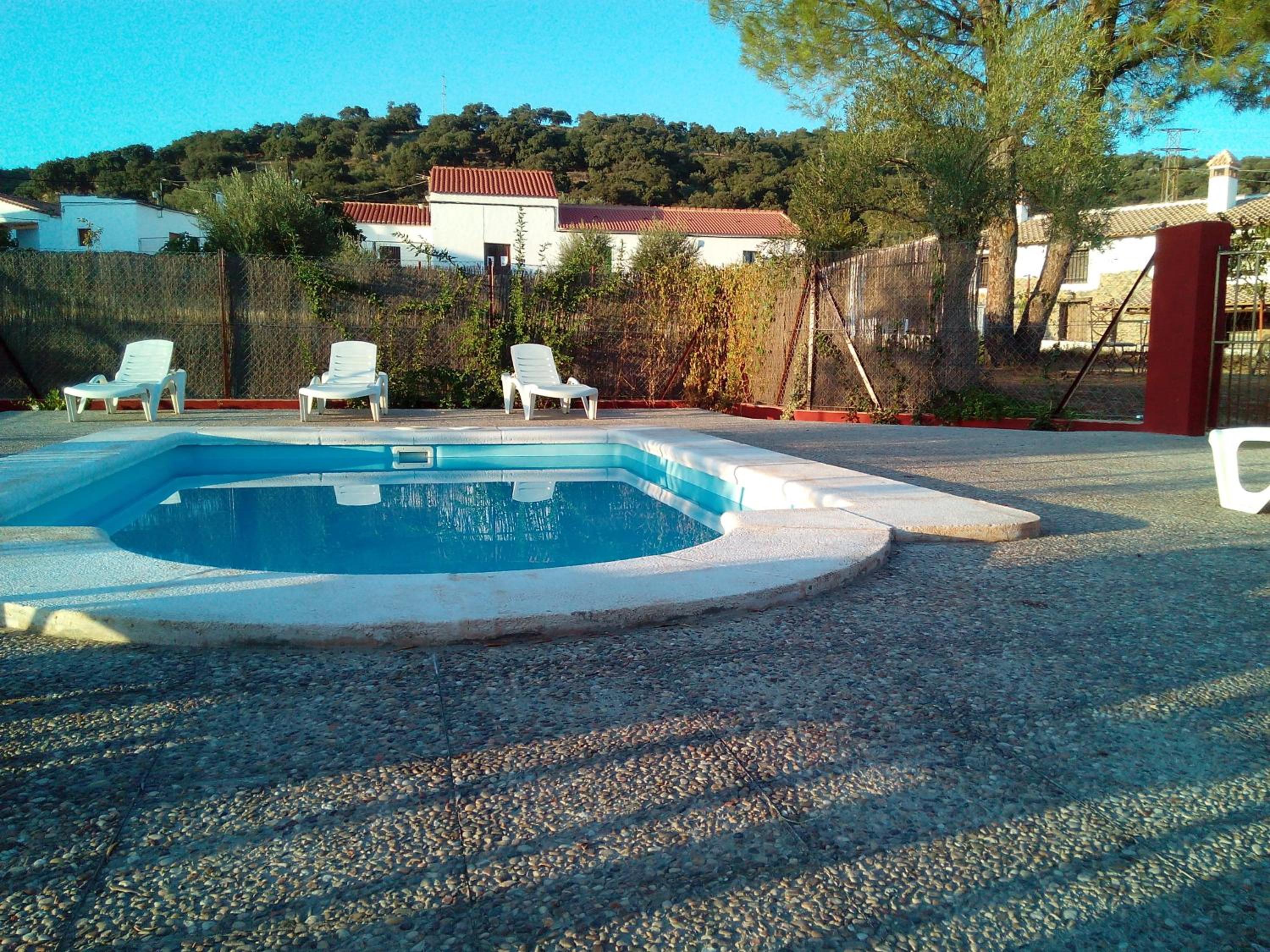 Photo 44