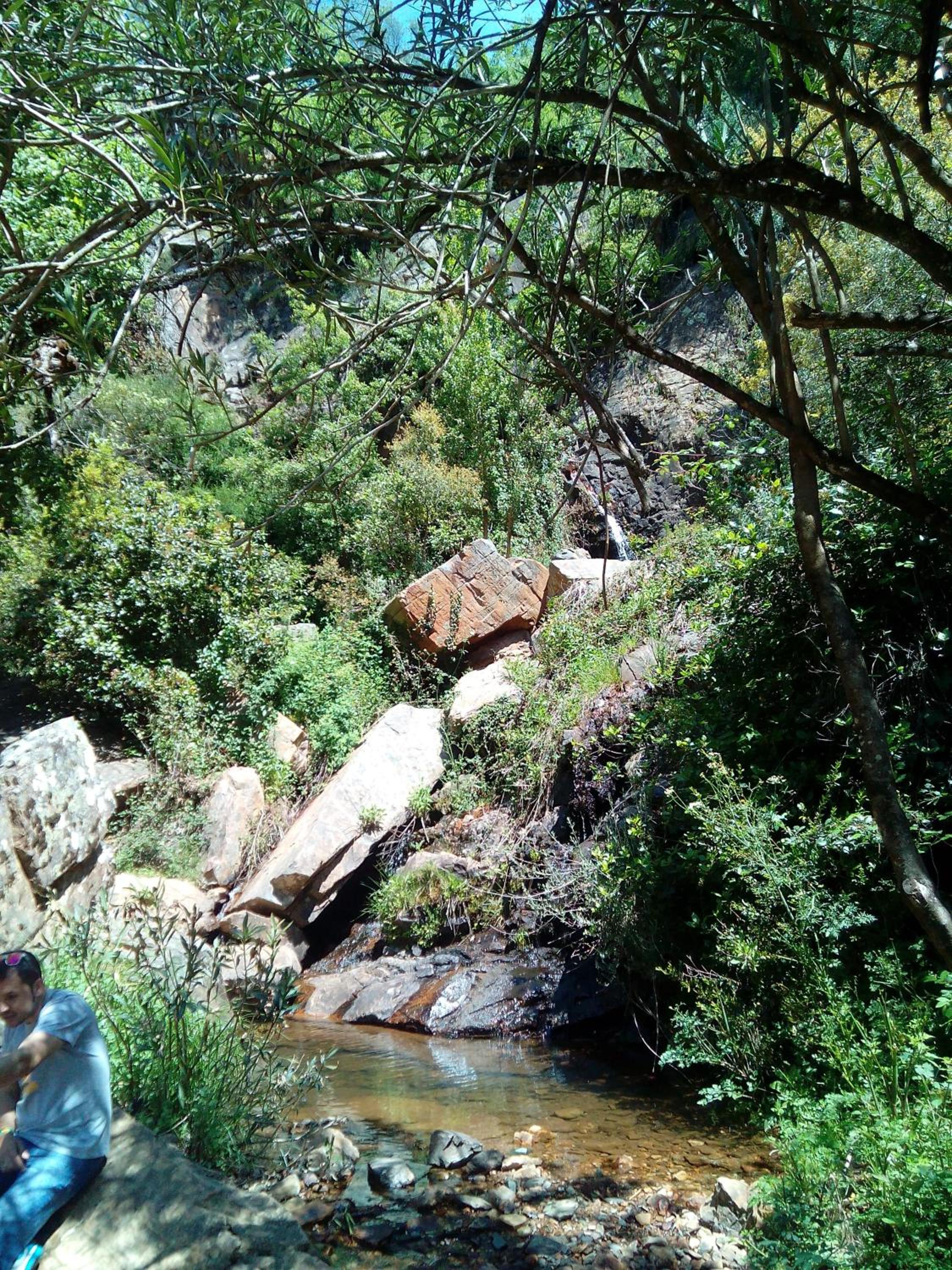 Photo 45