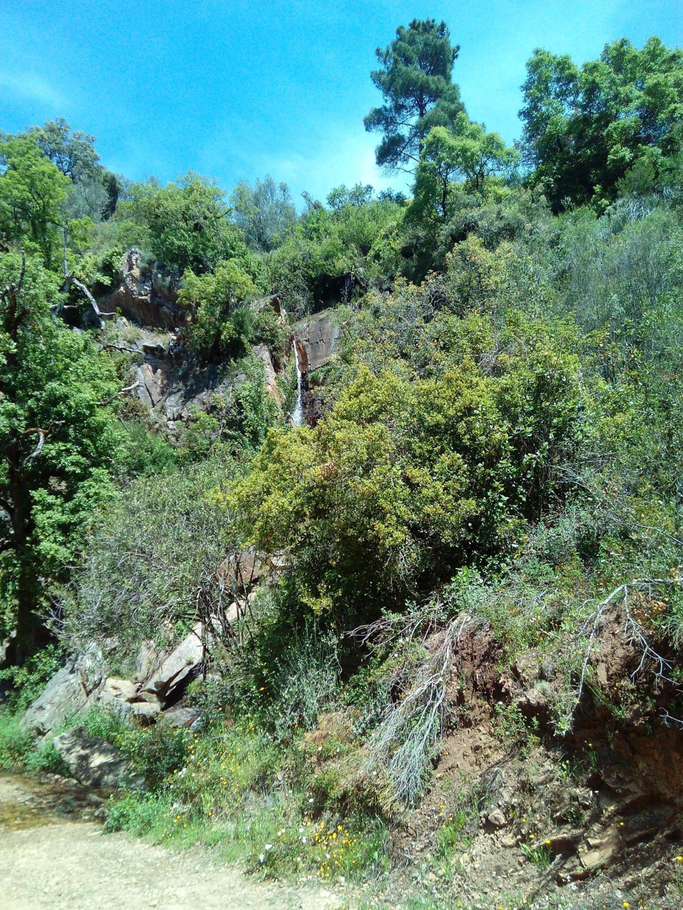 Photo 46