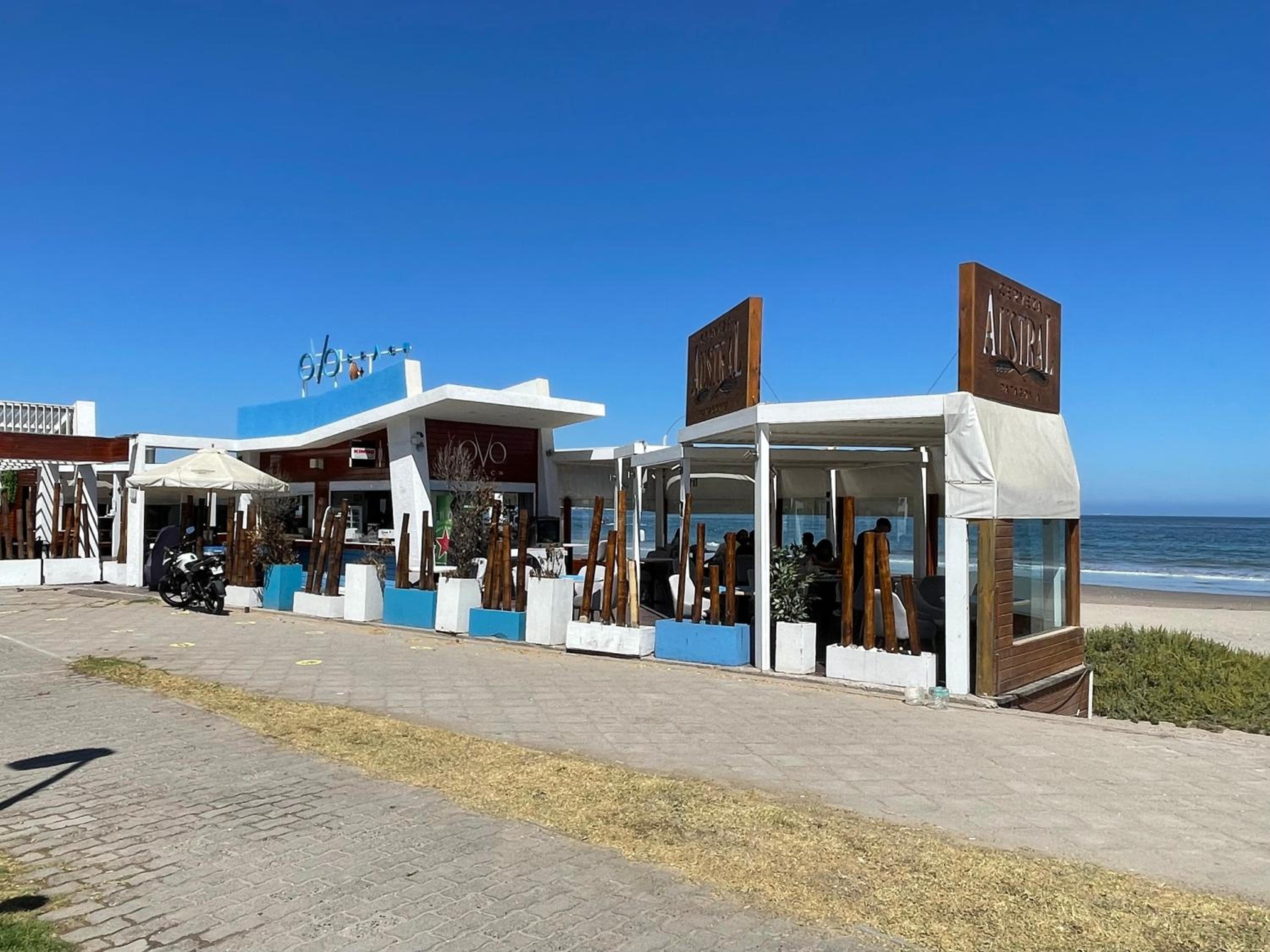 Cactus de Club Oceano (Terraza cerrada opcional)