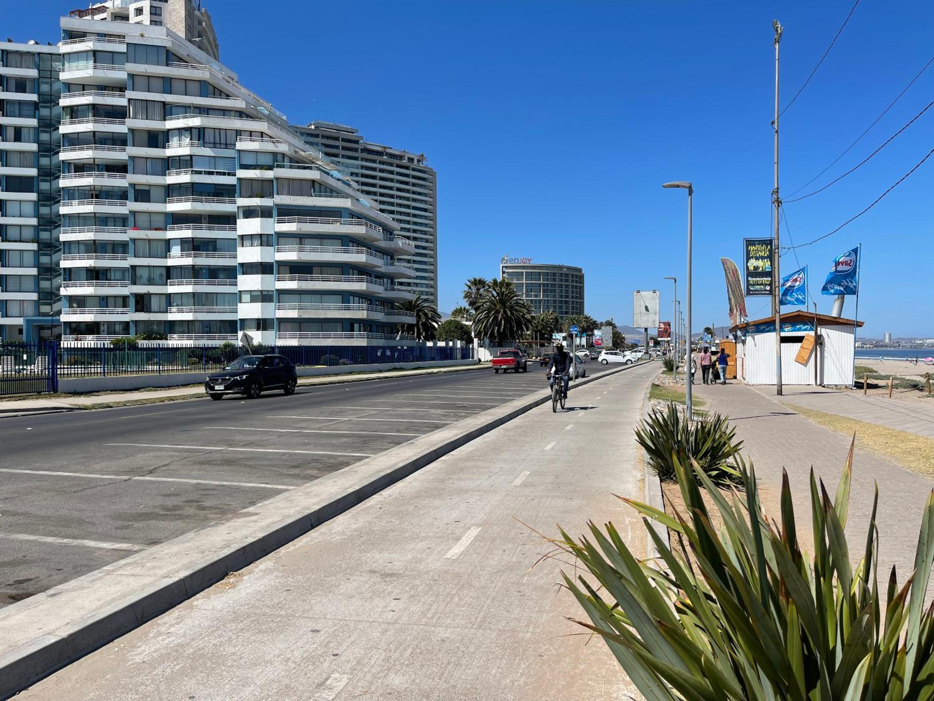 Cactus de Club Oceano (Terraza cerrada opcional)
