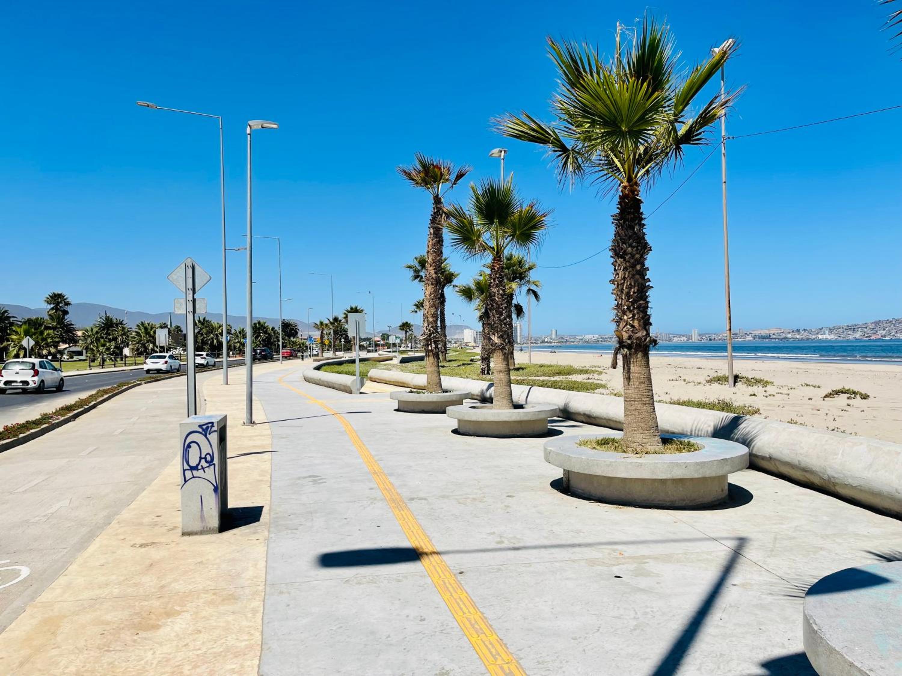 Cactus de Club Oceano (Terraza cerrada opcional)
