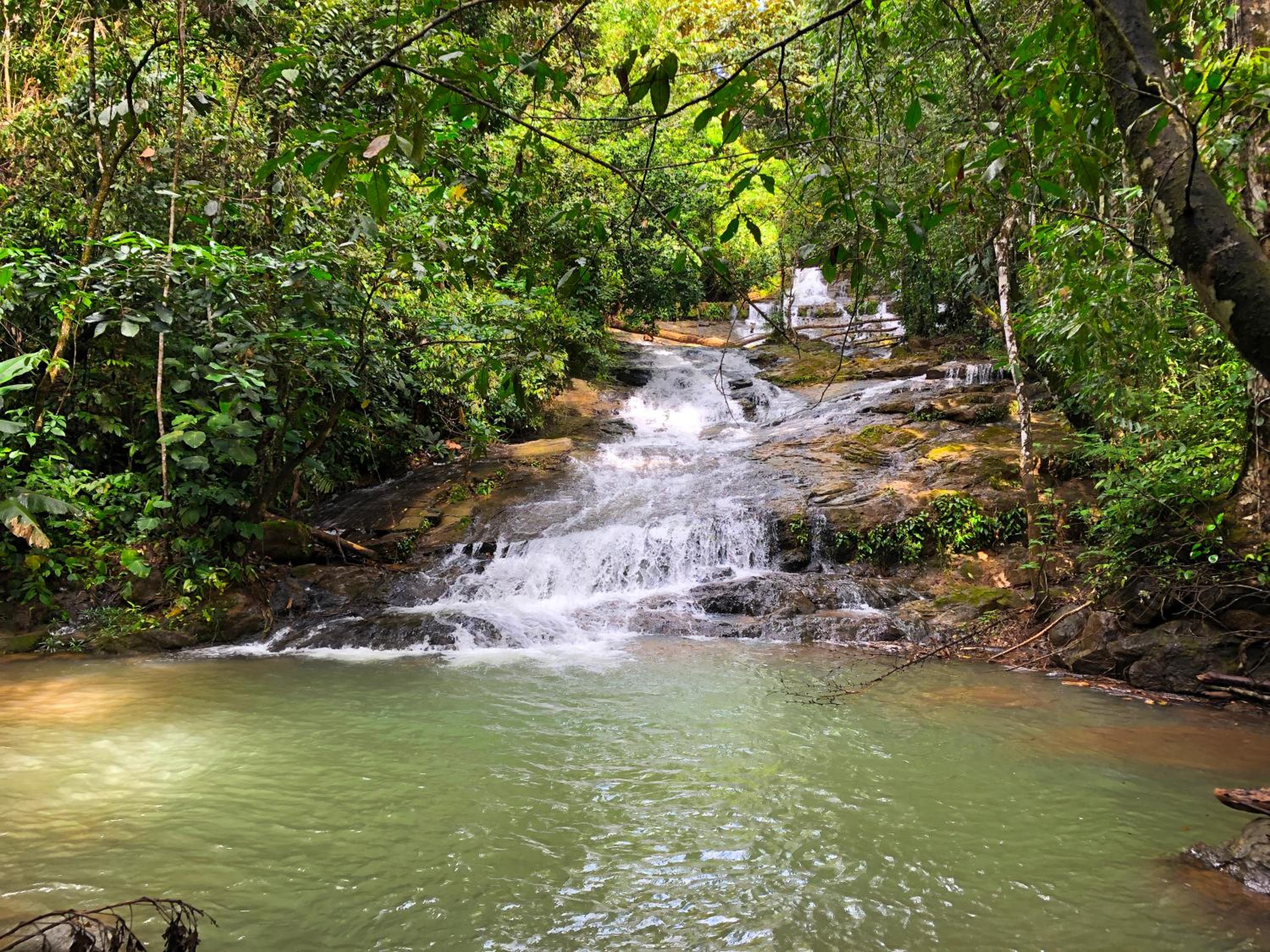 The Elements Costa Rica Nature Lodges