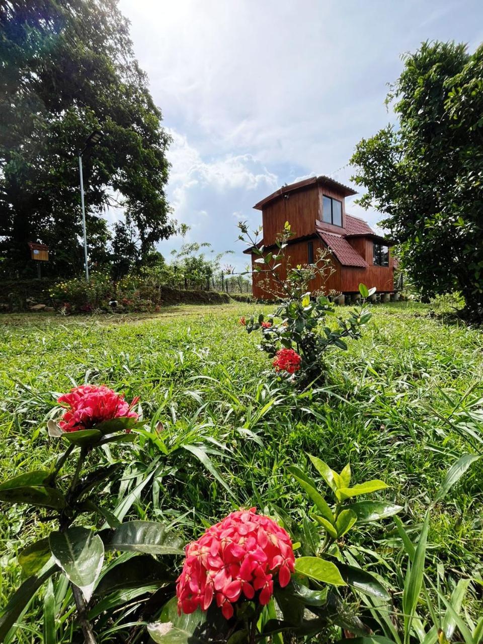 Myra Chalets