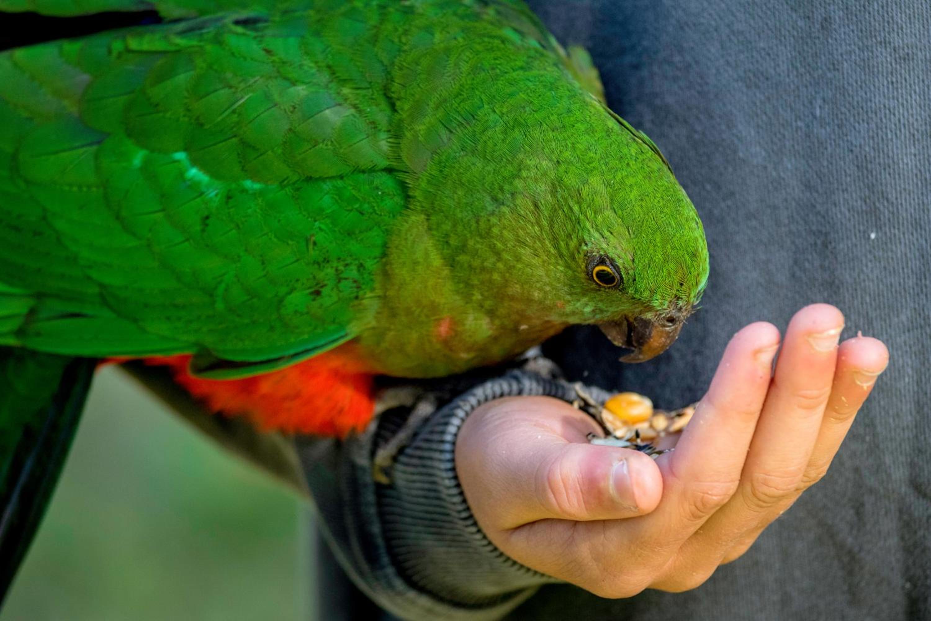BIG4 Yarra Valley Park Lane Holiday Park