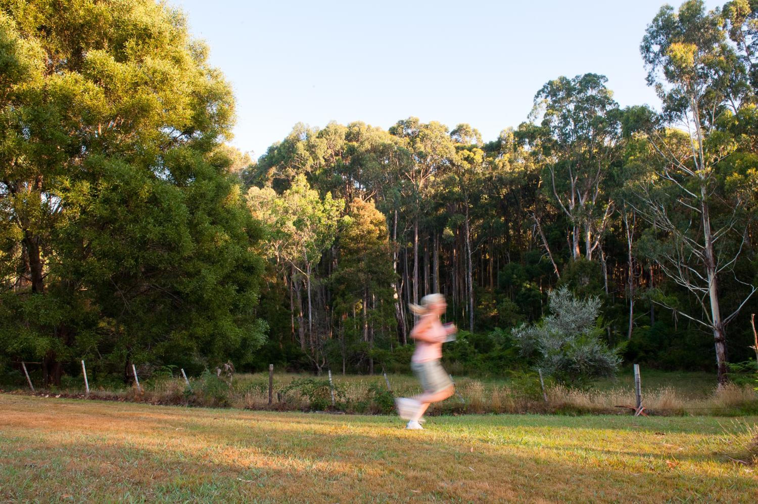 BIG4 Yarra Valley Park Lane Holiday Park