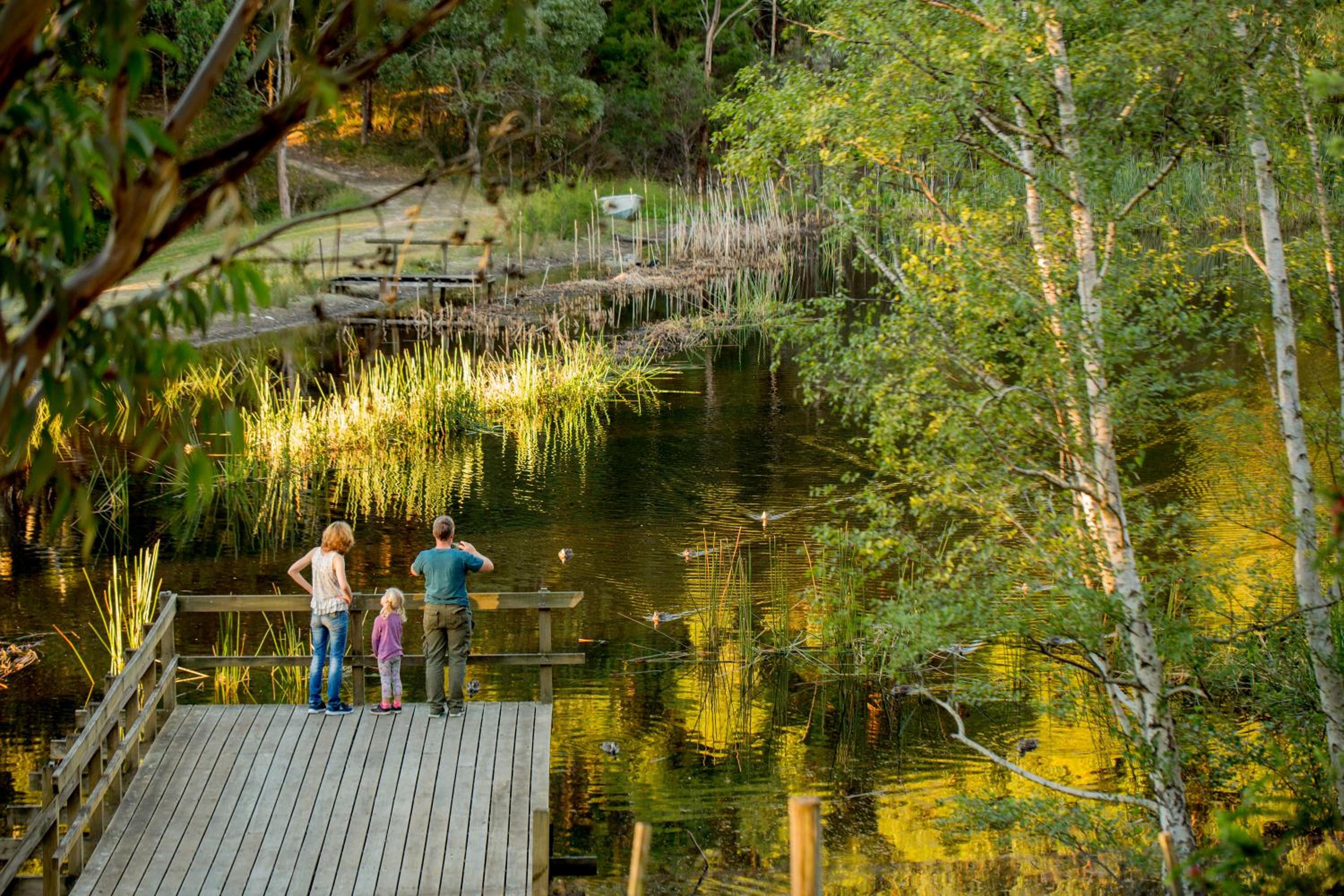 BIG4 Yarra Valley Park Lane Holiday Park