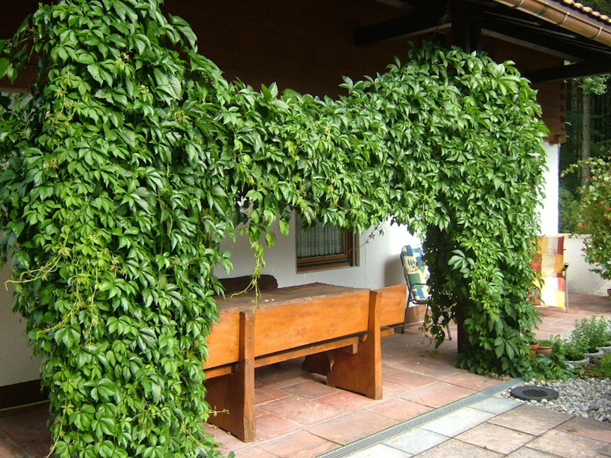 Haus Mayerbüchler - Chiemgau Karte view 5