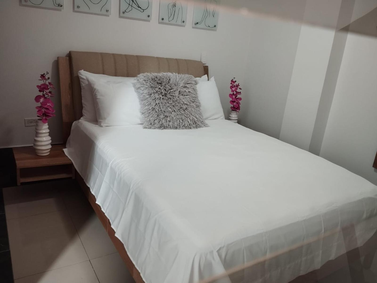 Aparta Suites Laureles 71 7 aptos