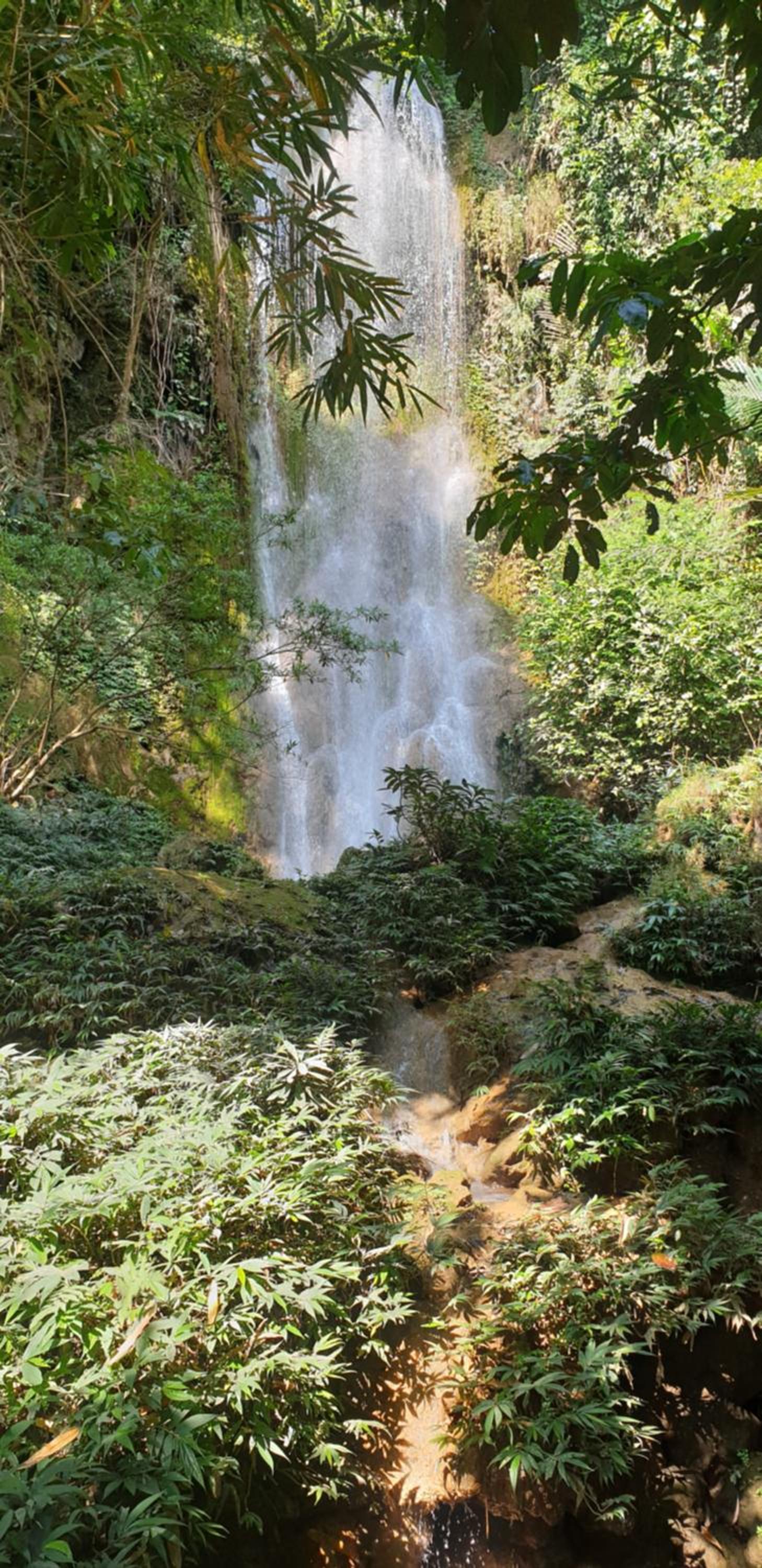 Photo 22