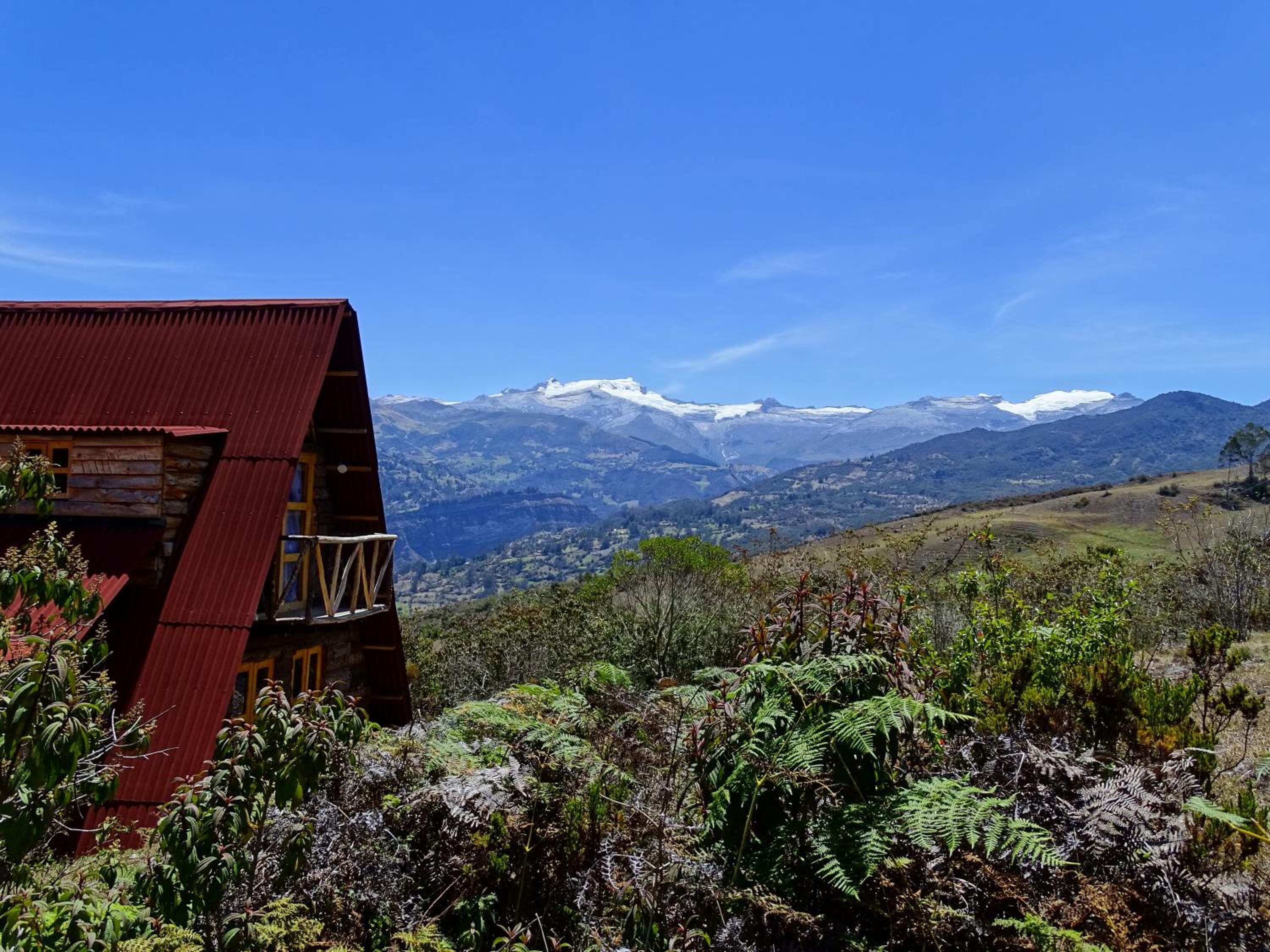 La Teja Experience