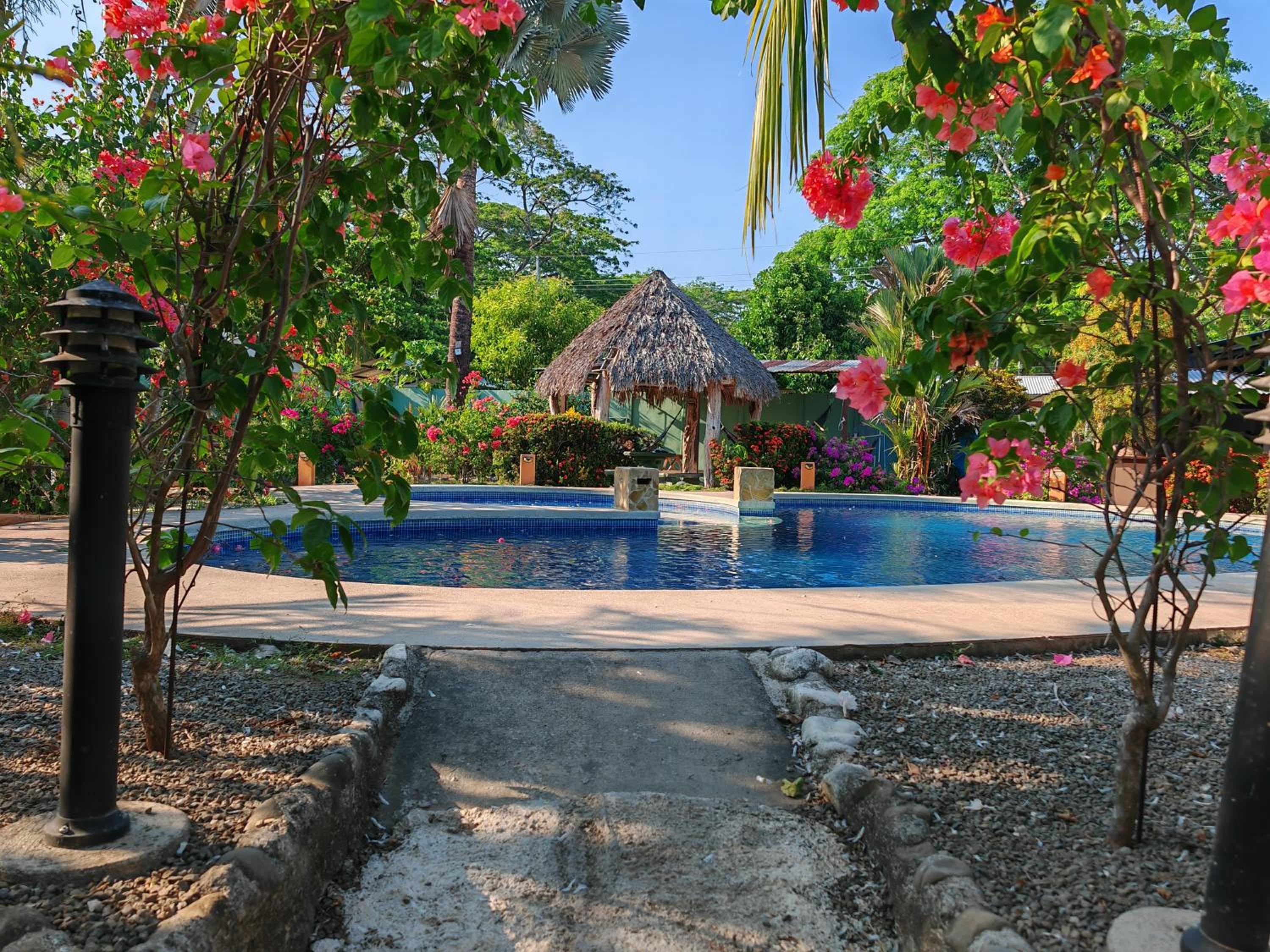 Bioluminiscencia Hostel Tours - South