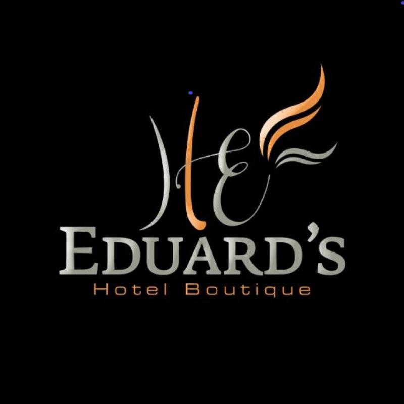 Hotel Eduards Suite view 4