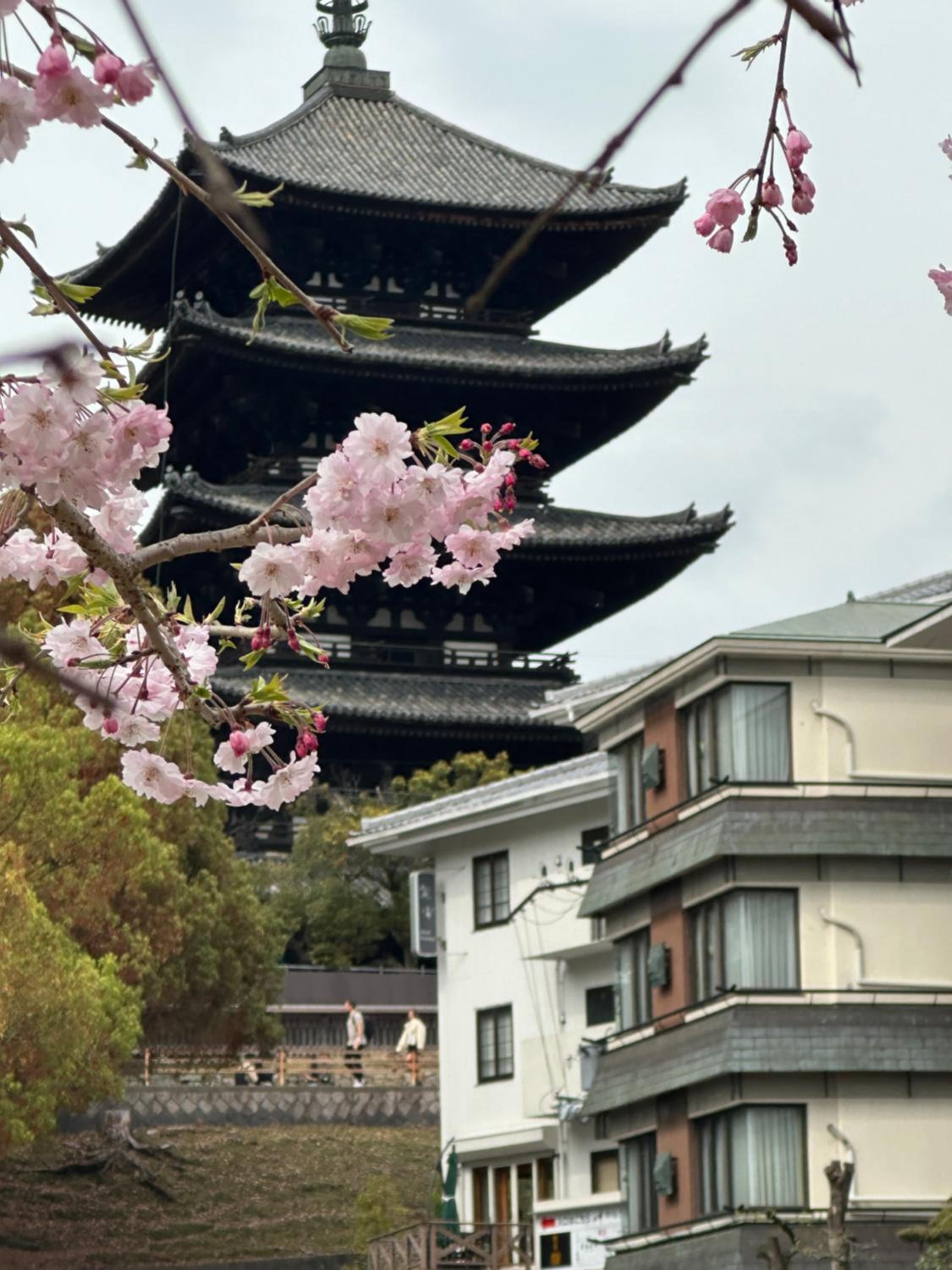 Ryokan Kousen