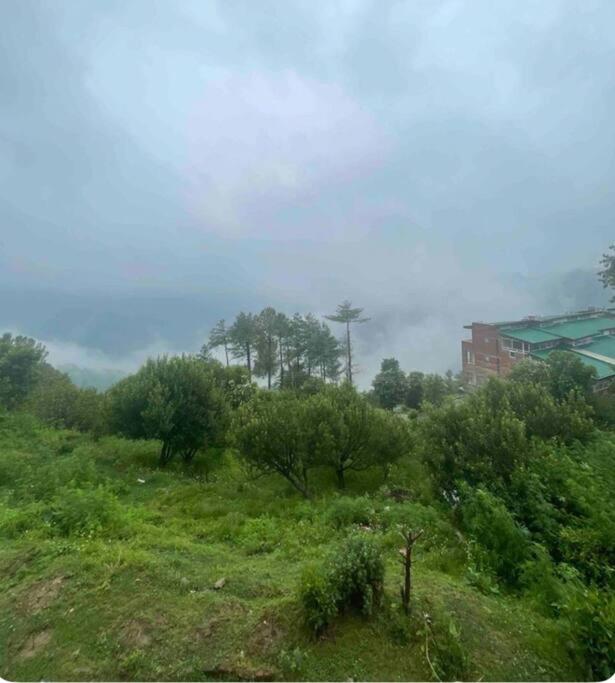 Shimla Best place to live. view 2