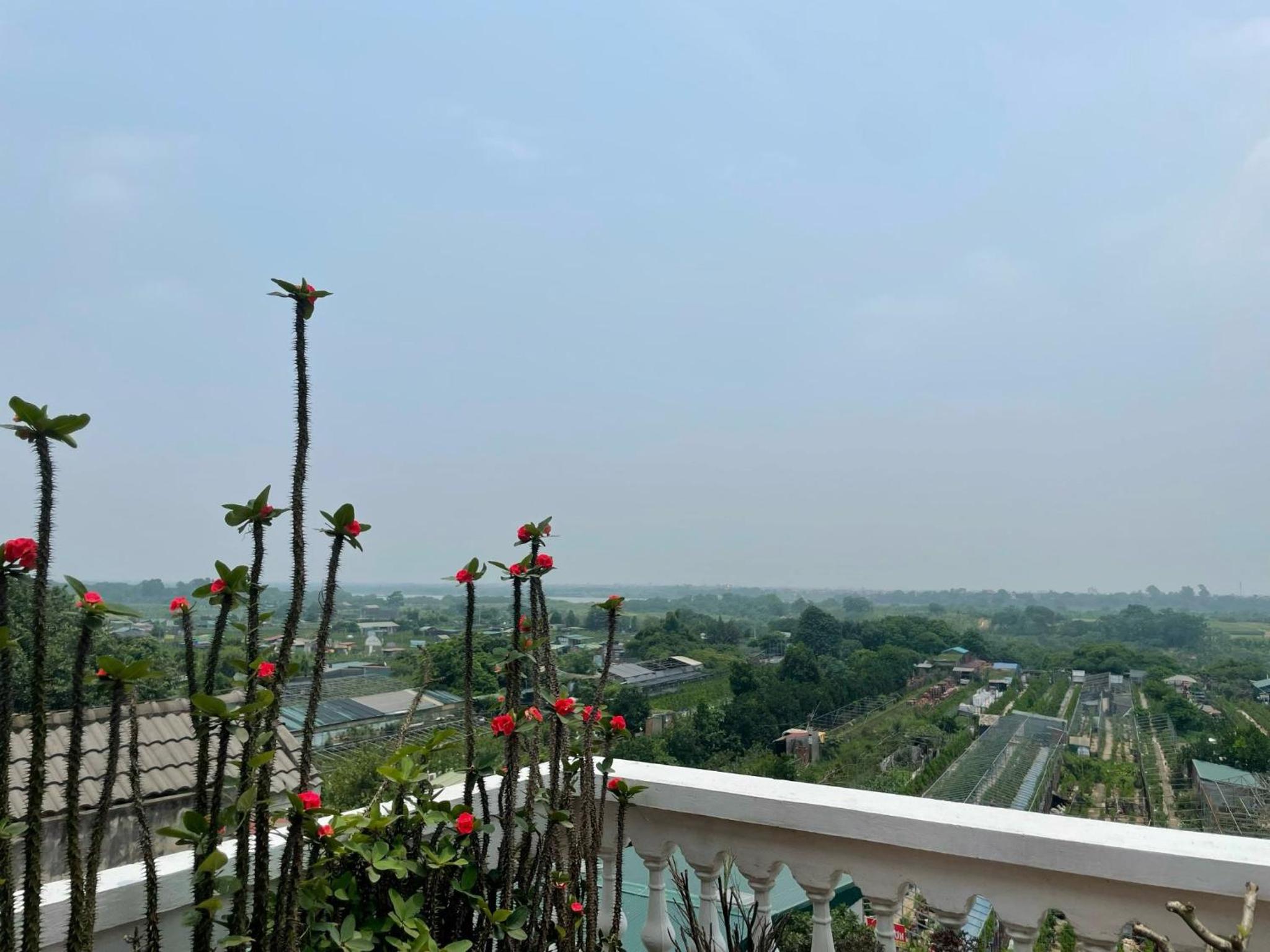 AN HOMESTAY