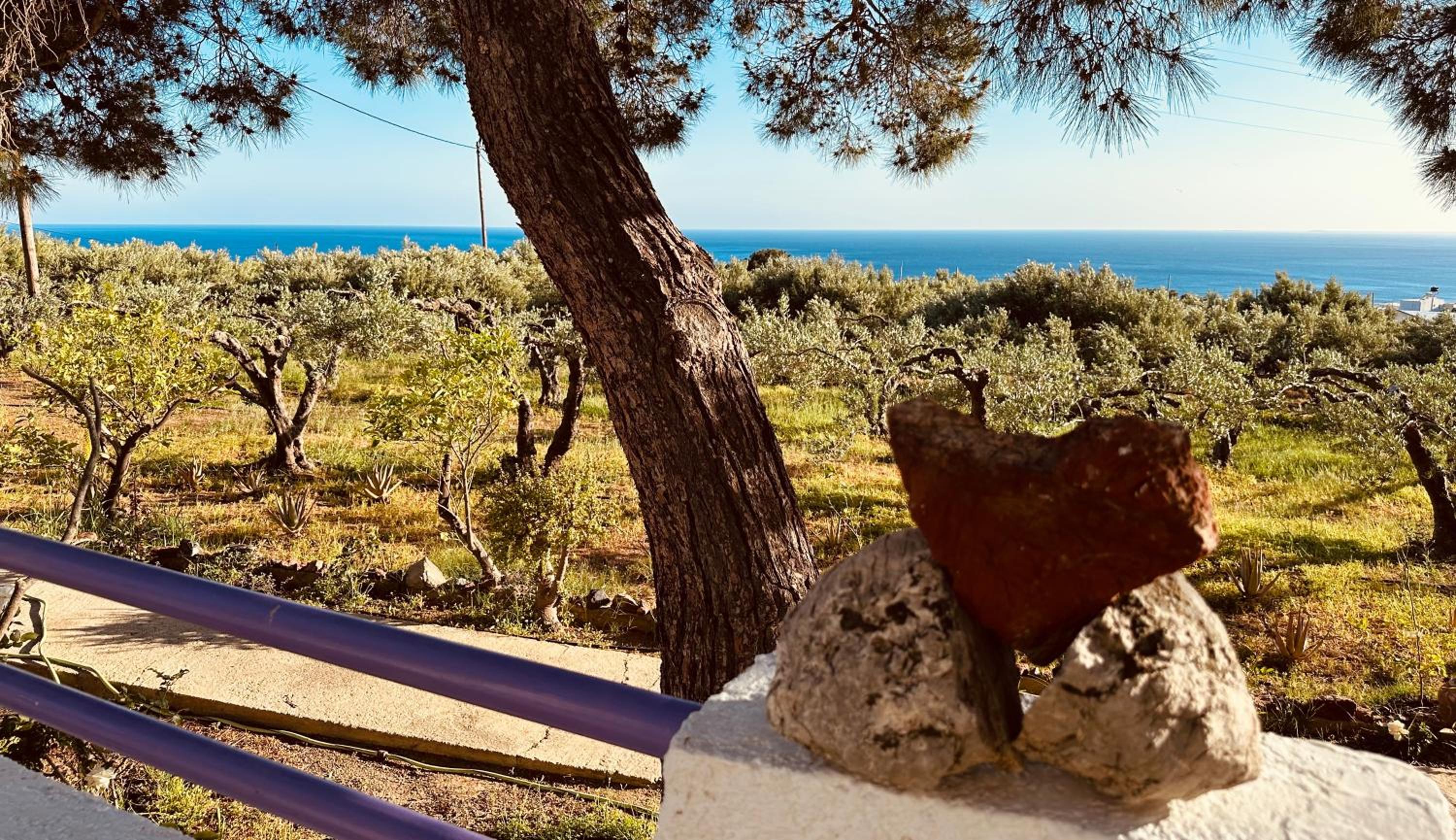 Studios Crete