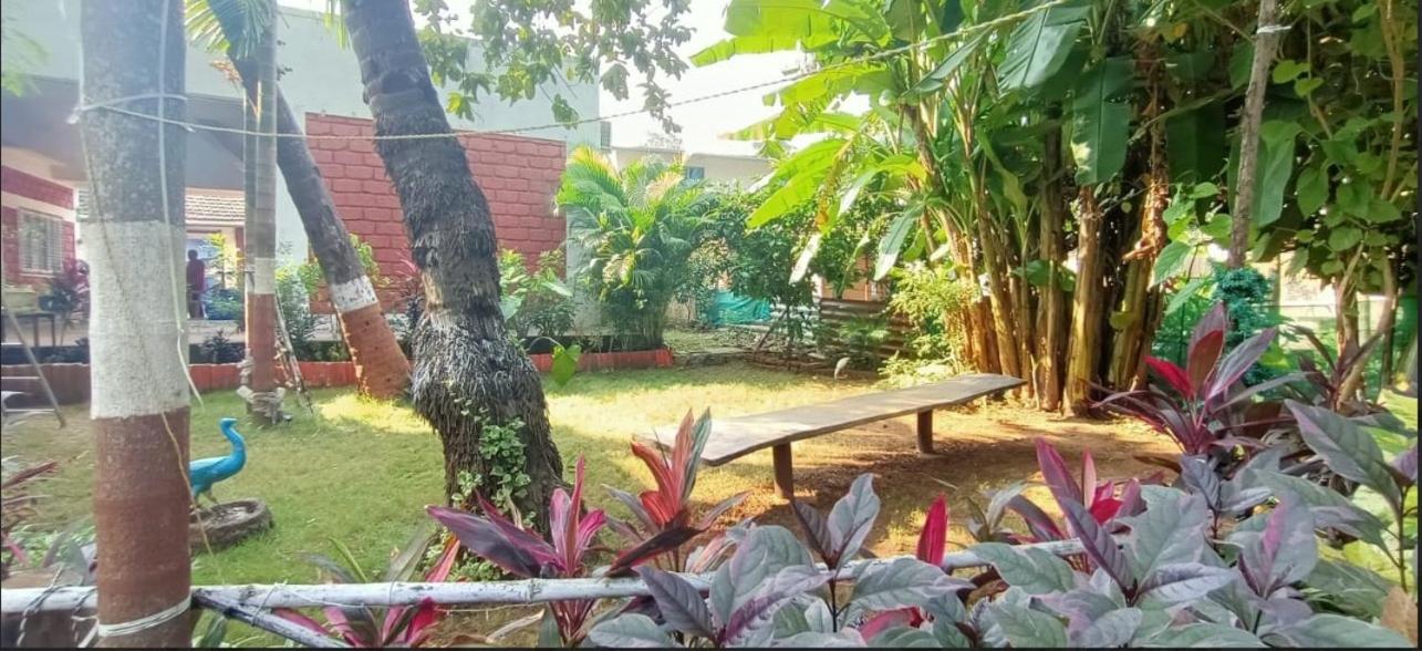 Sunlit Villa view 4