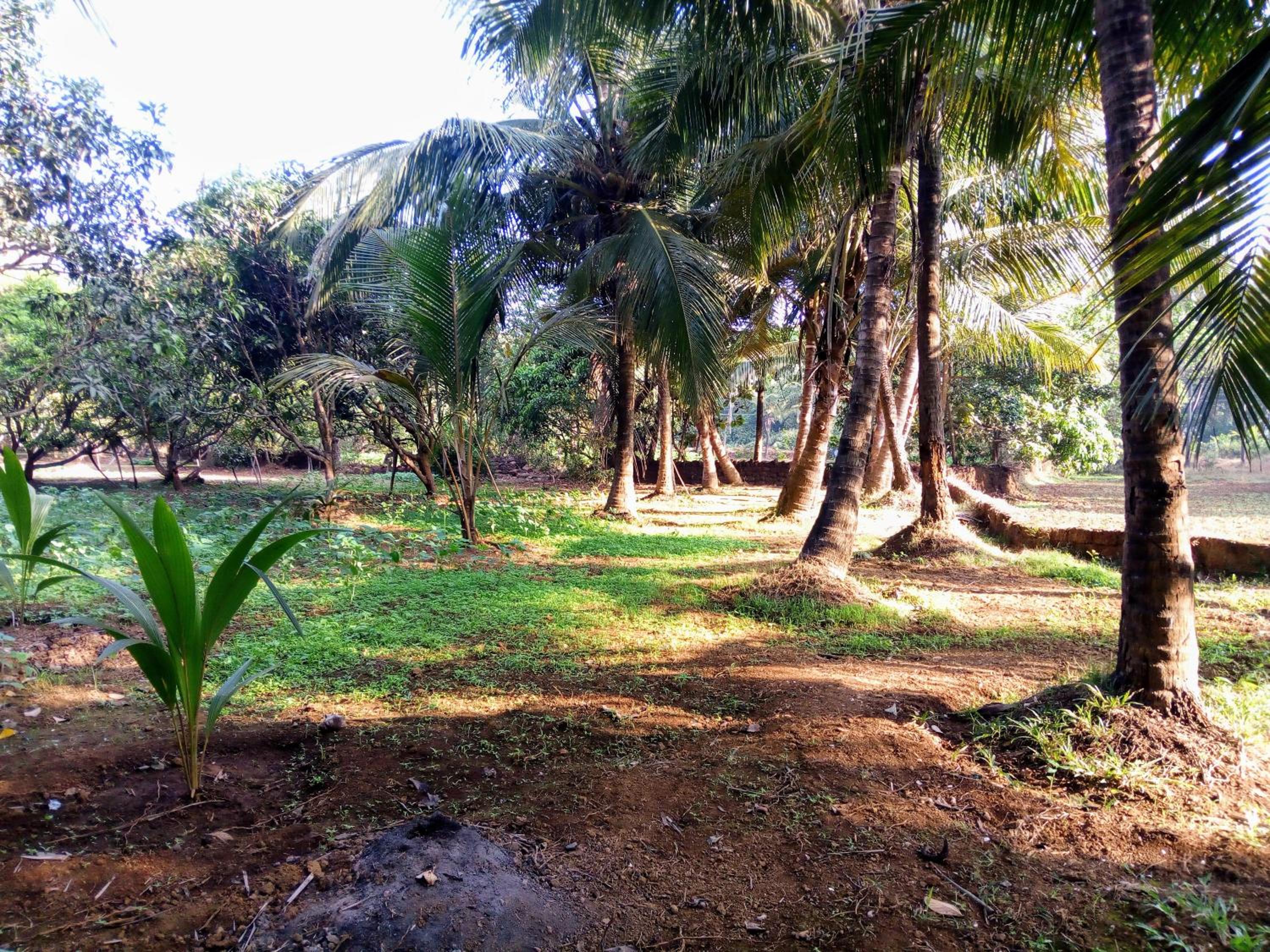 Photo 20