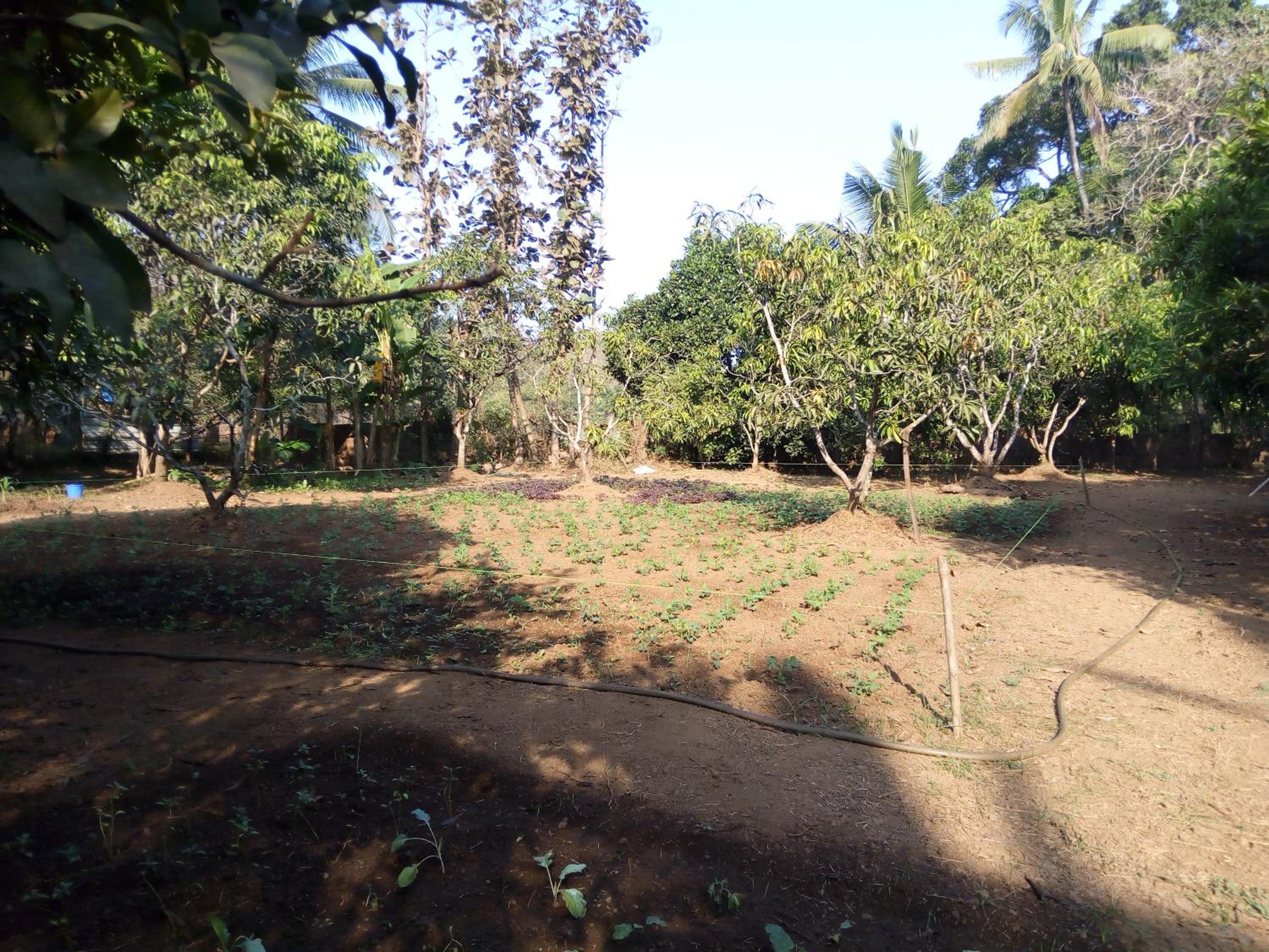 Photo 19