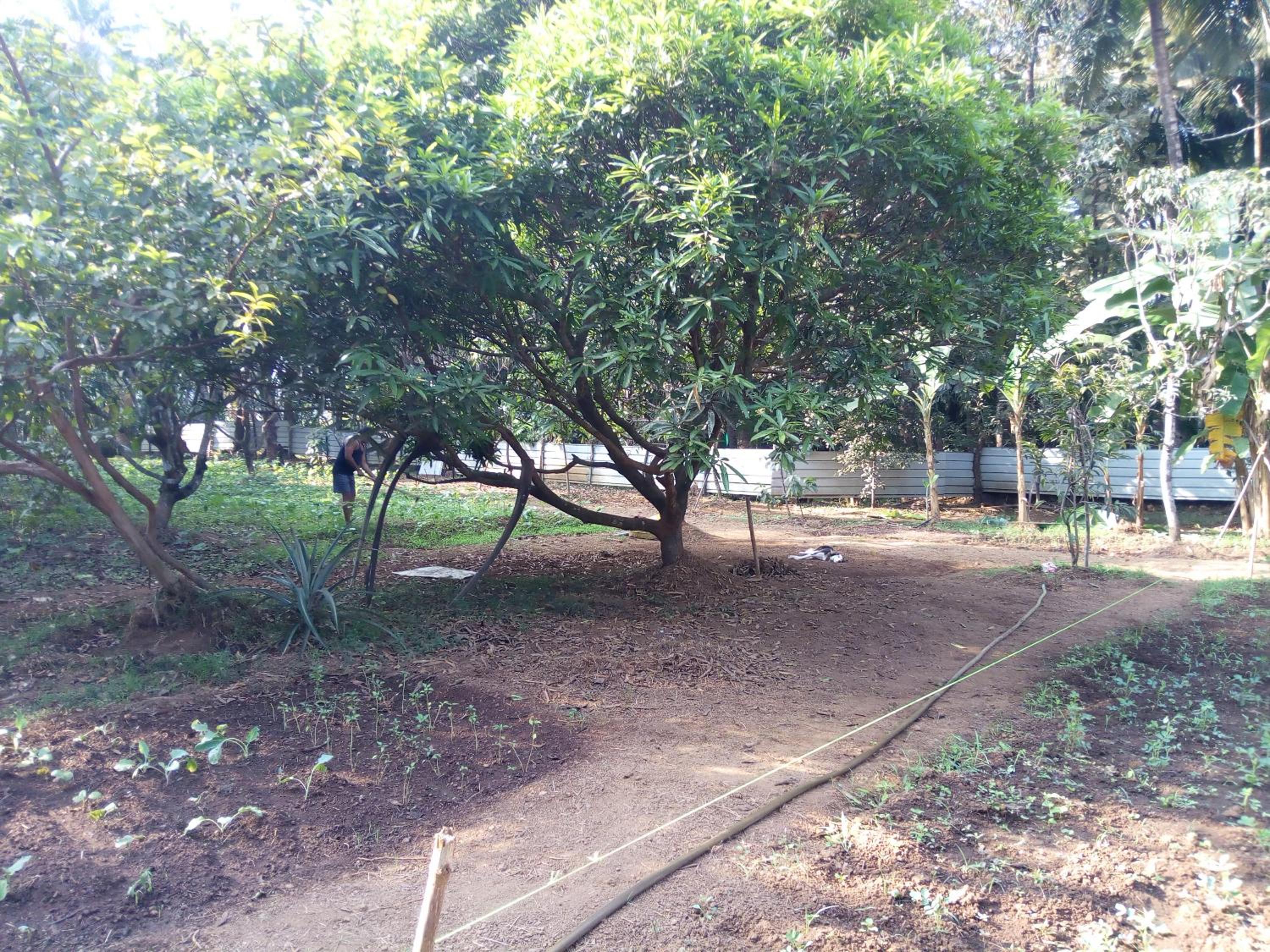 Photo 22