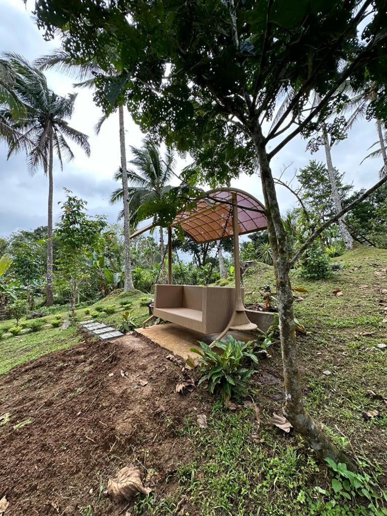 Elnora's Farm