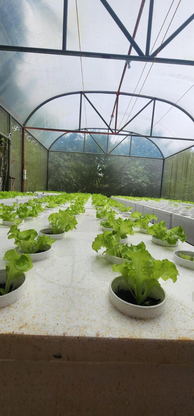 Elnora's Farm