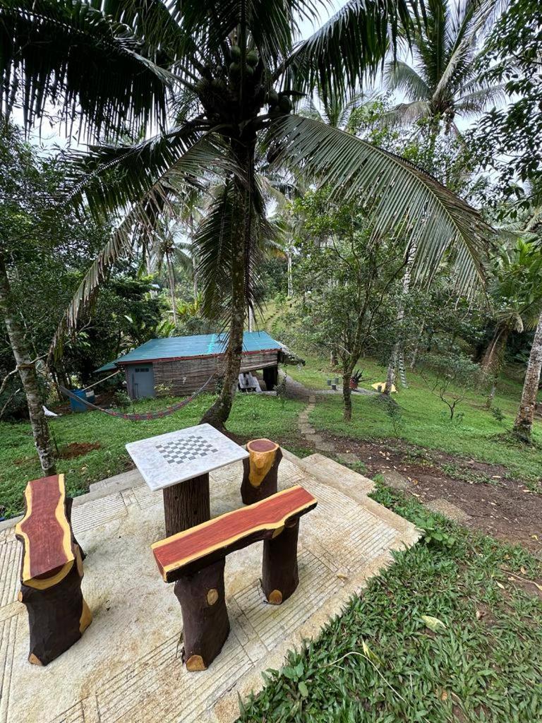 Elnora's Farm