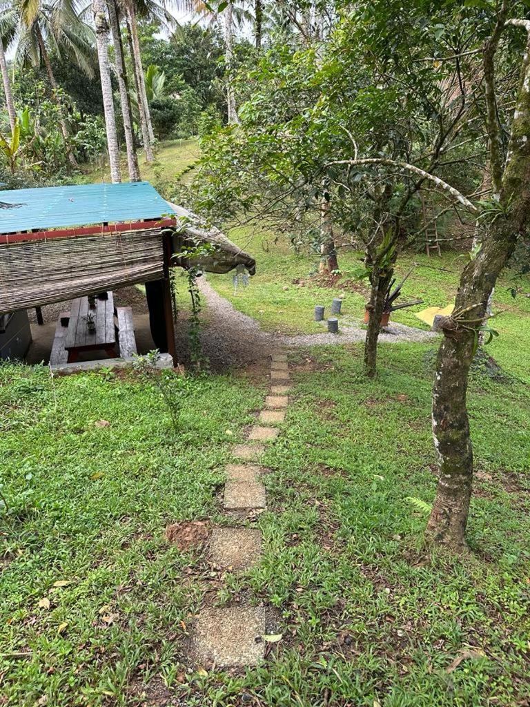 Elnora's Farm
