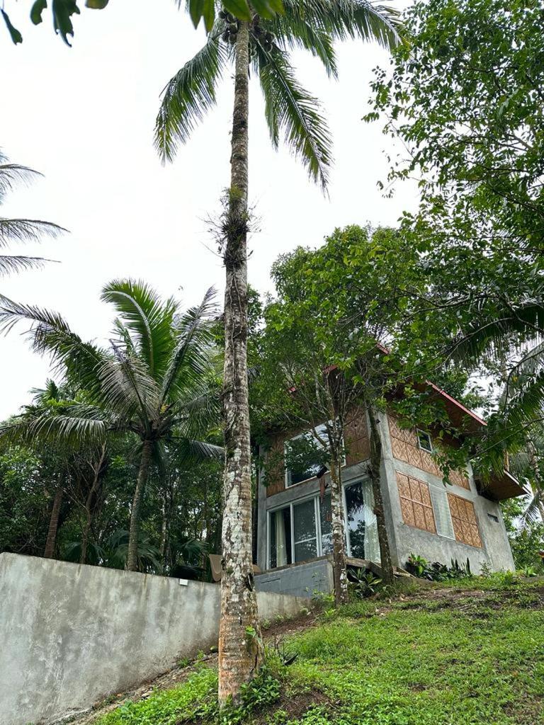 Elnora's Farm