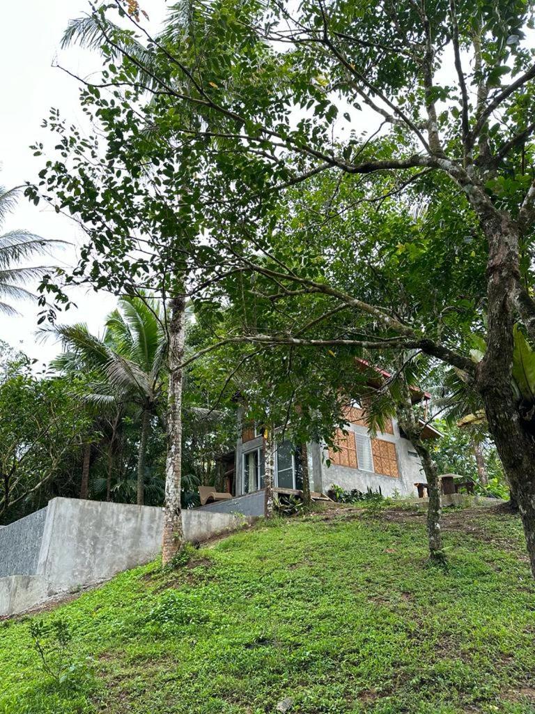 Elnora's Farm