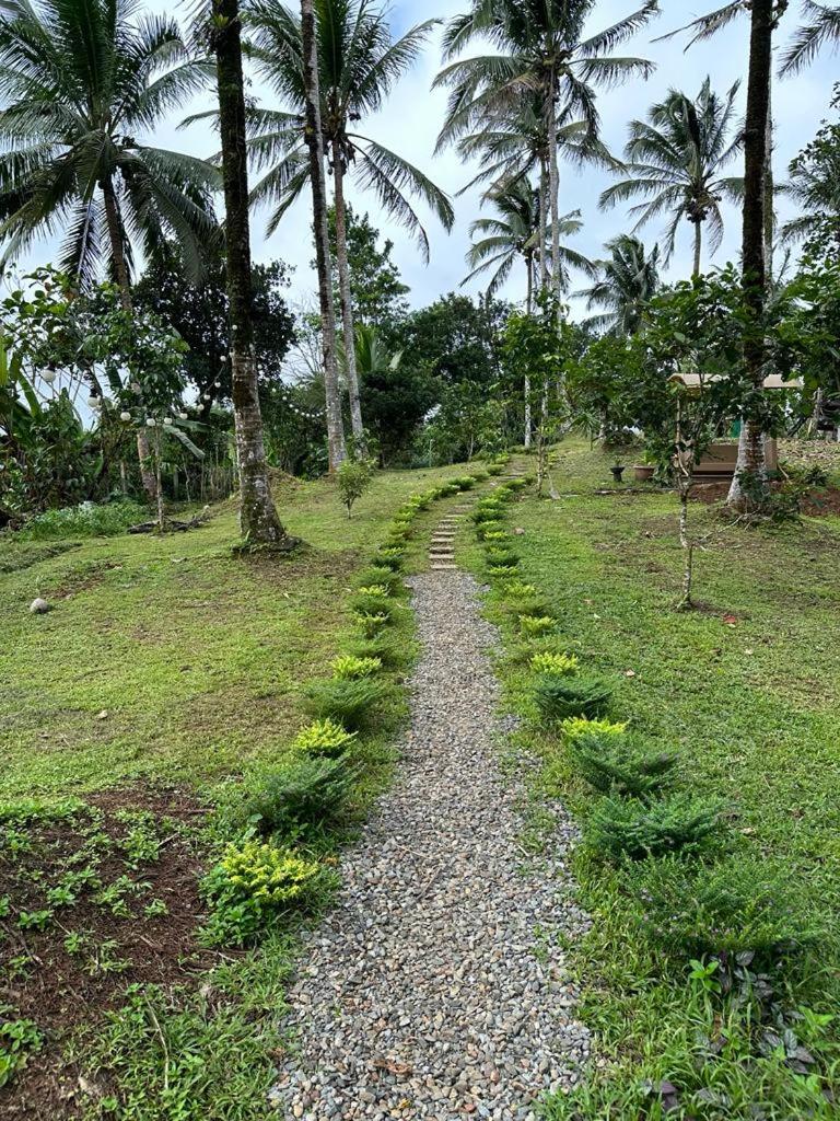 Elnora's Farm