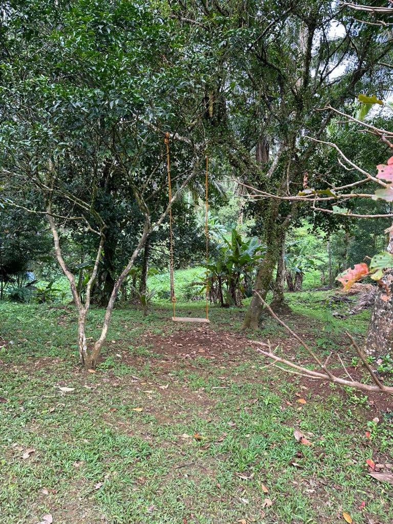 Elnora's Farm