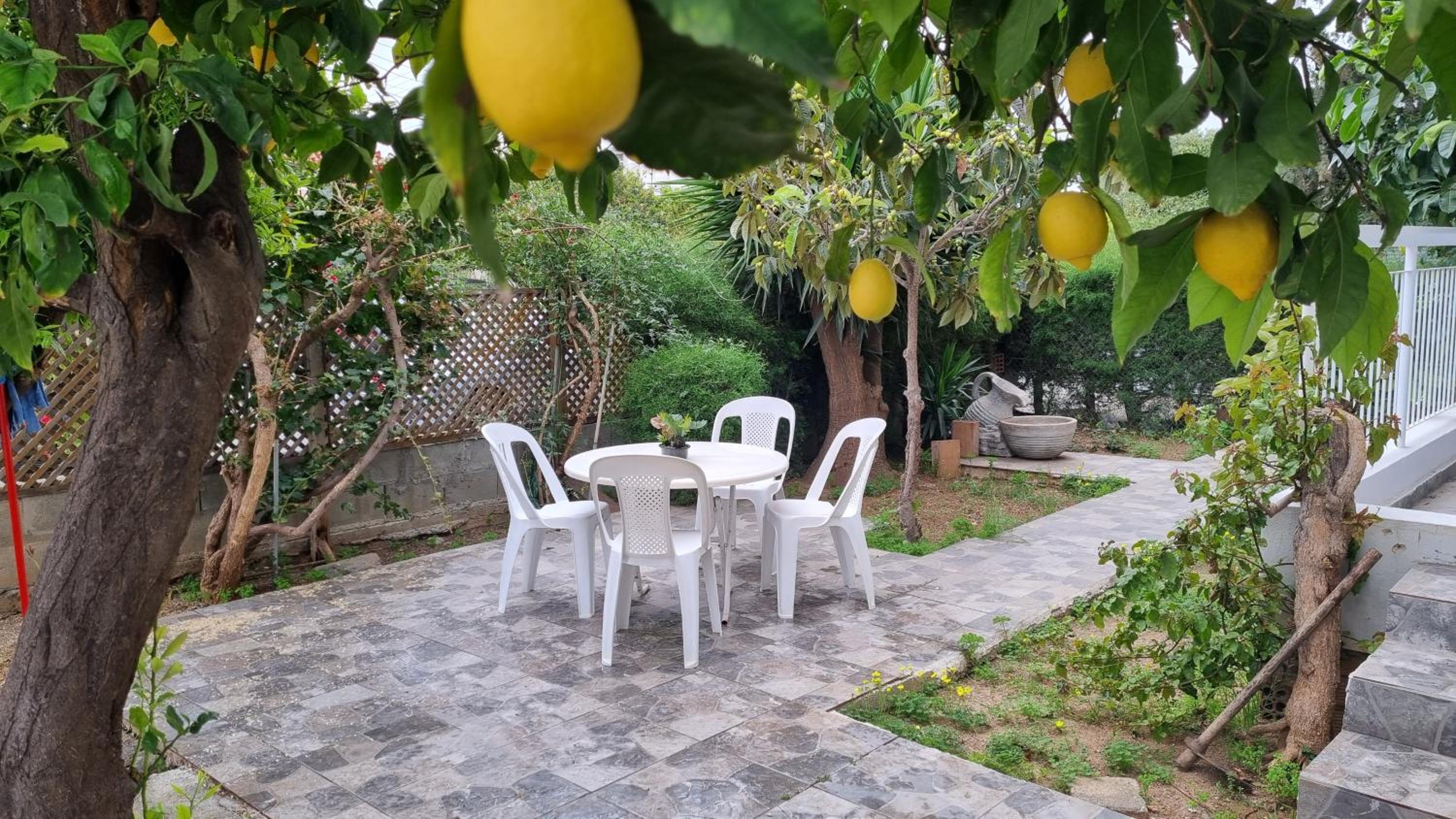 Elpida Lemon Garden House