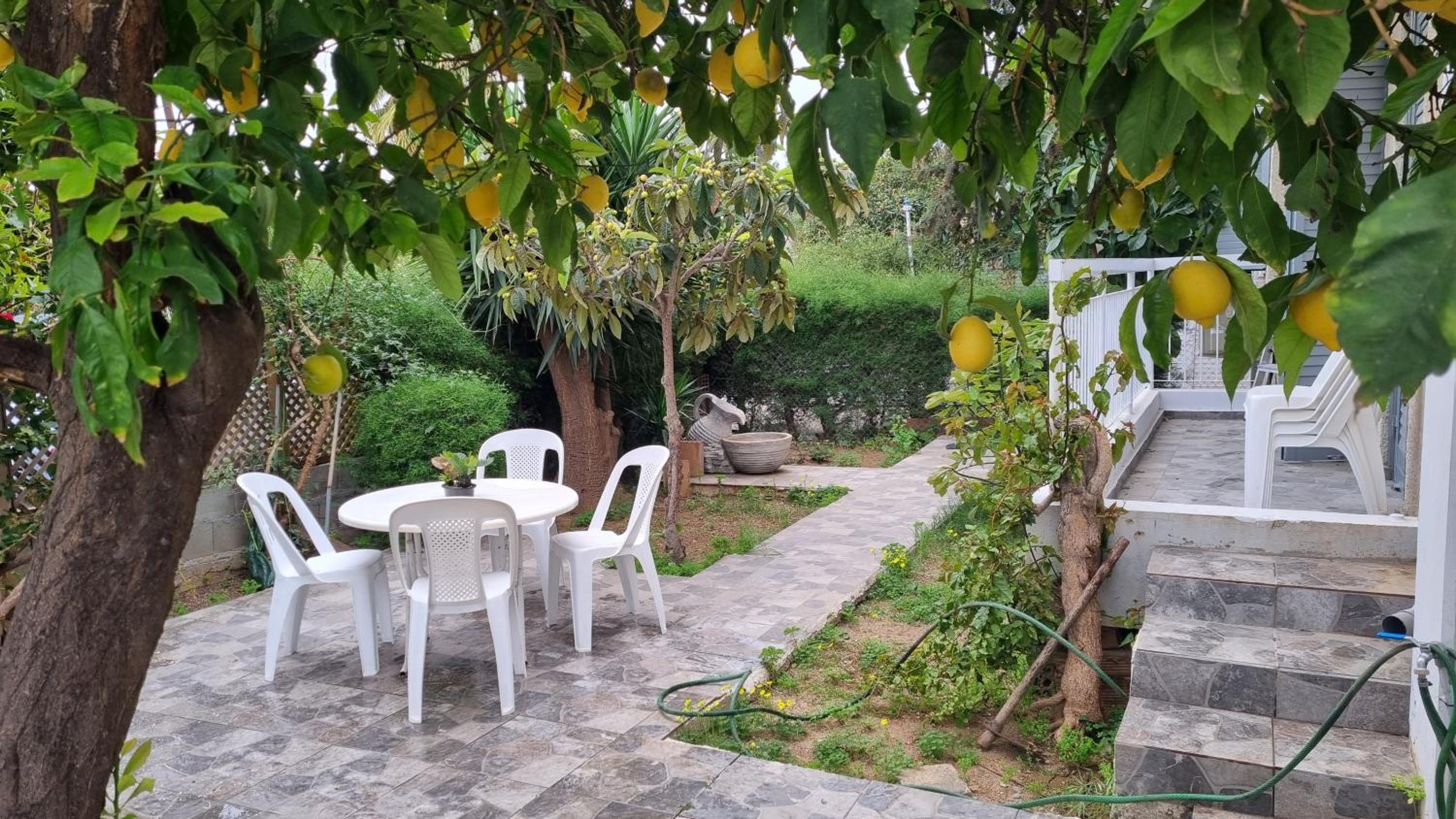 Elpida Lemon Garden House
