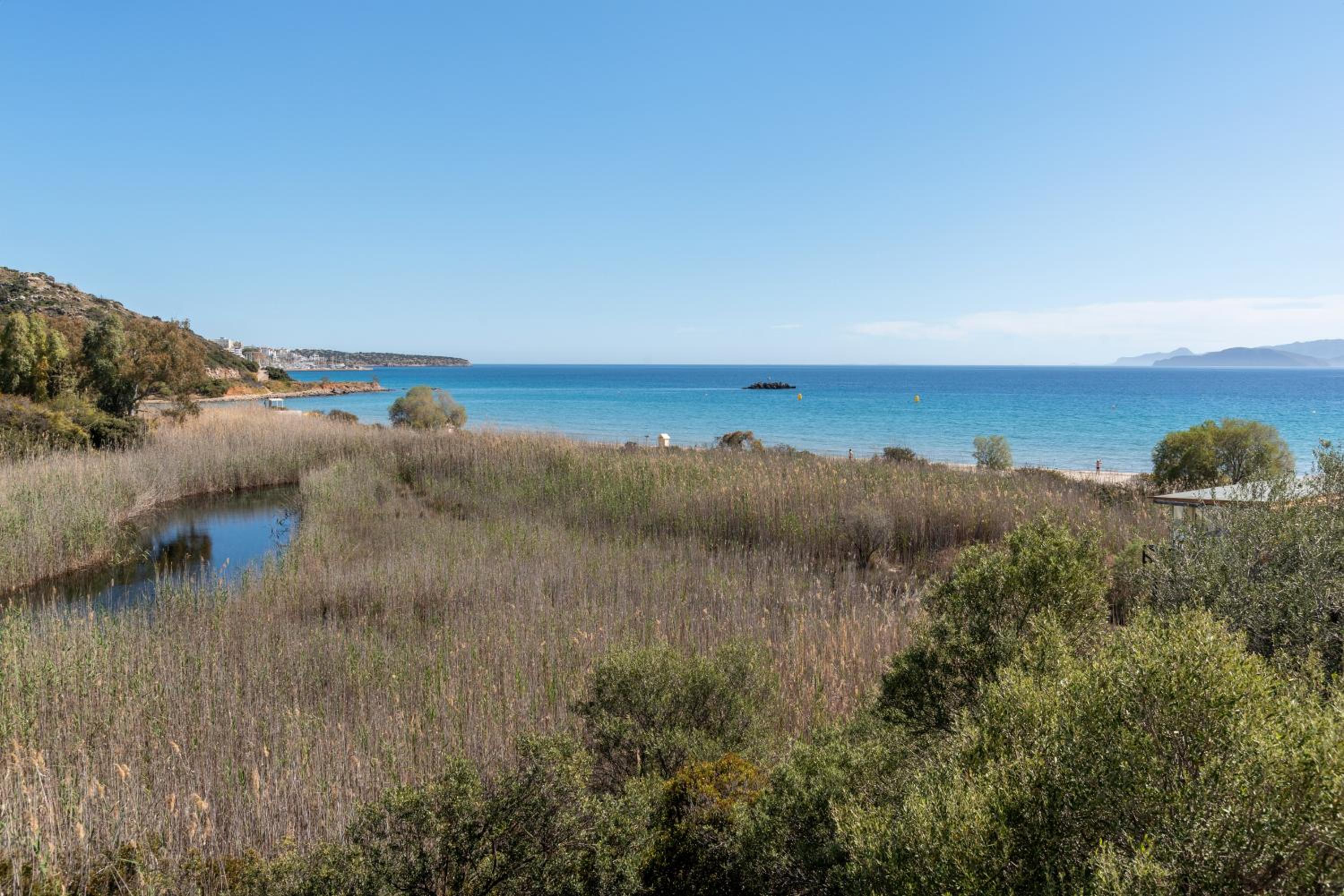 Photo 30